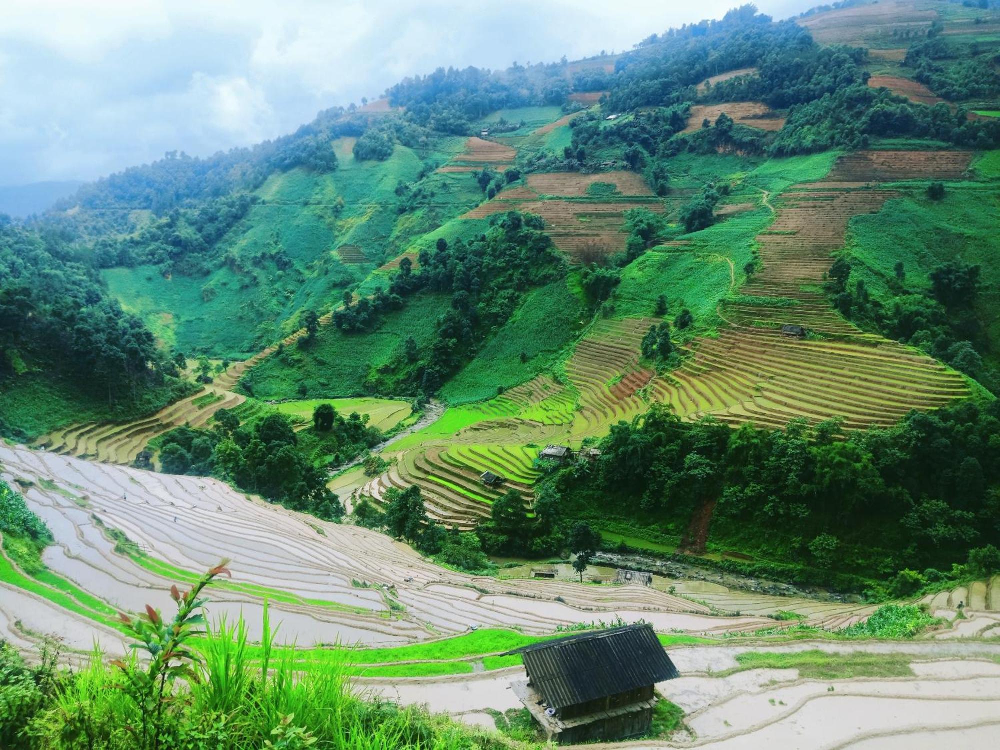 Big View Homestay, Tour & Vegetarian Guest house