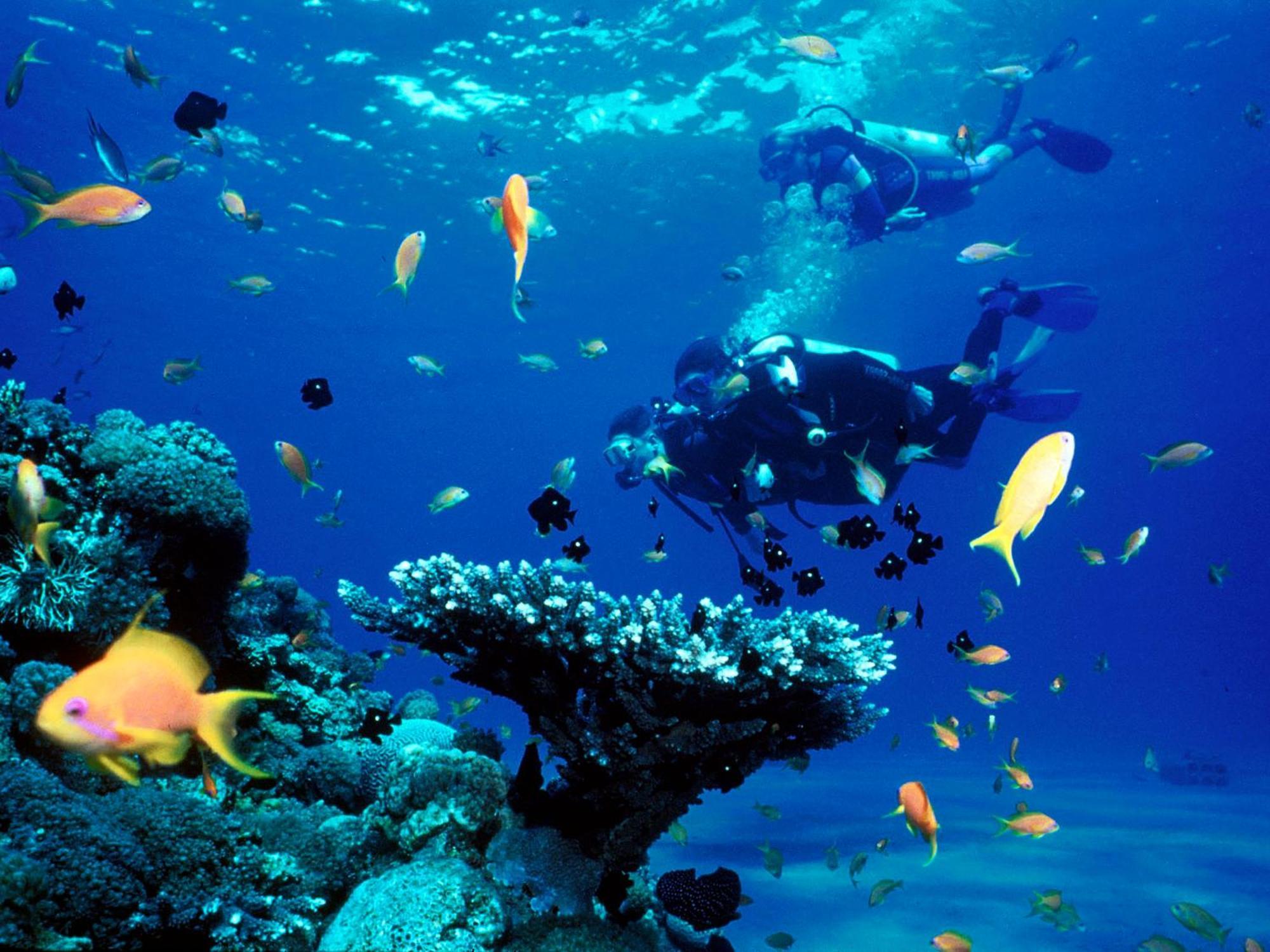 Saigon & Phu Quoc