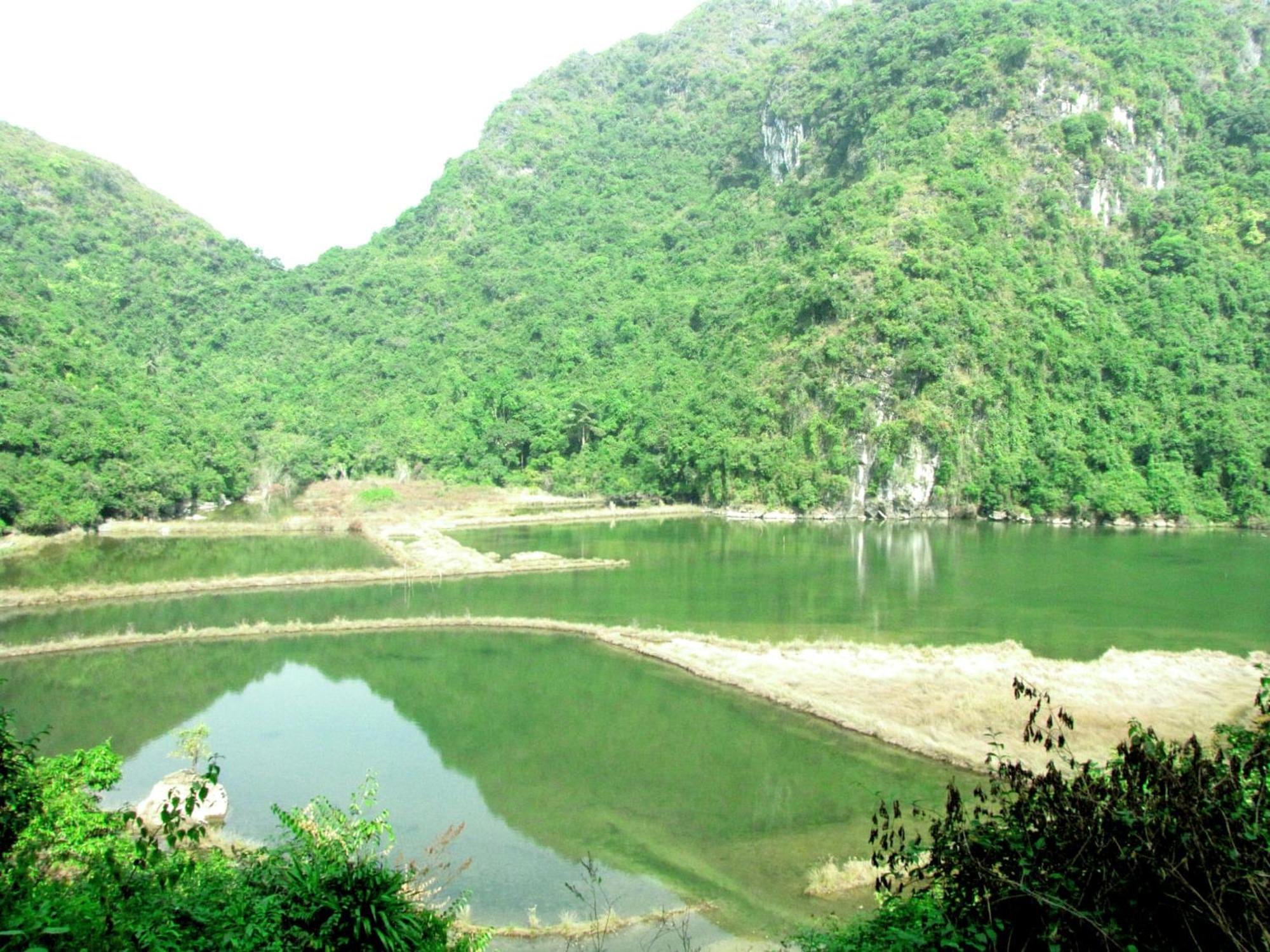 Whisper Nature & Dong Khe Sau
