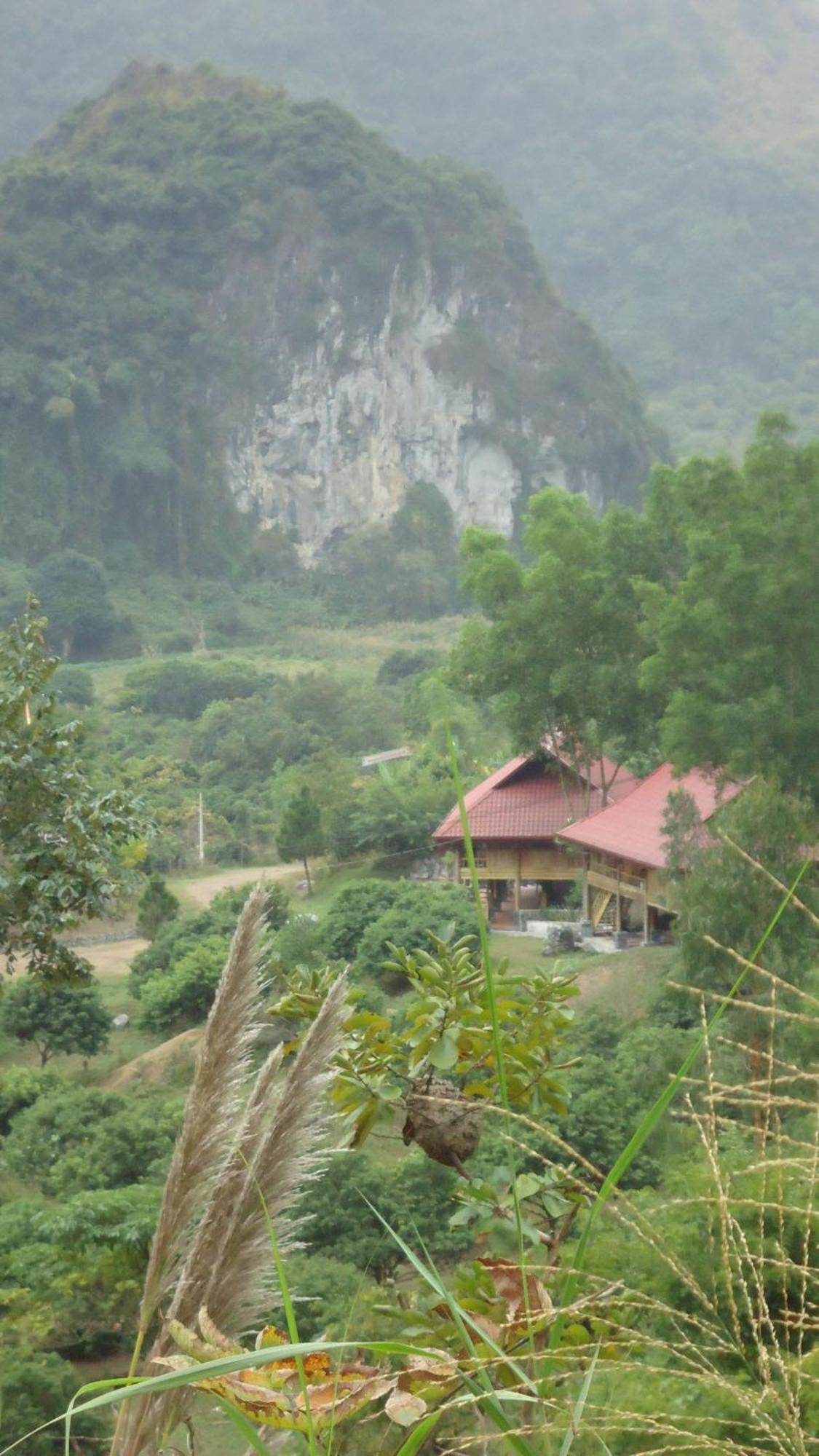 Lodge Cat Ba Eco *