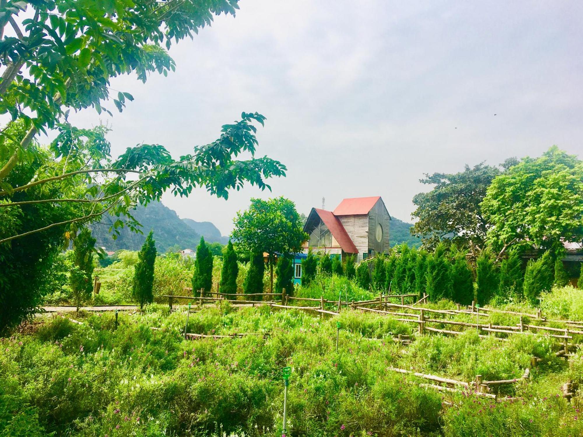 Resort Trang An Secret Garden