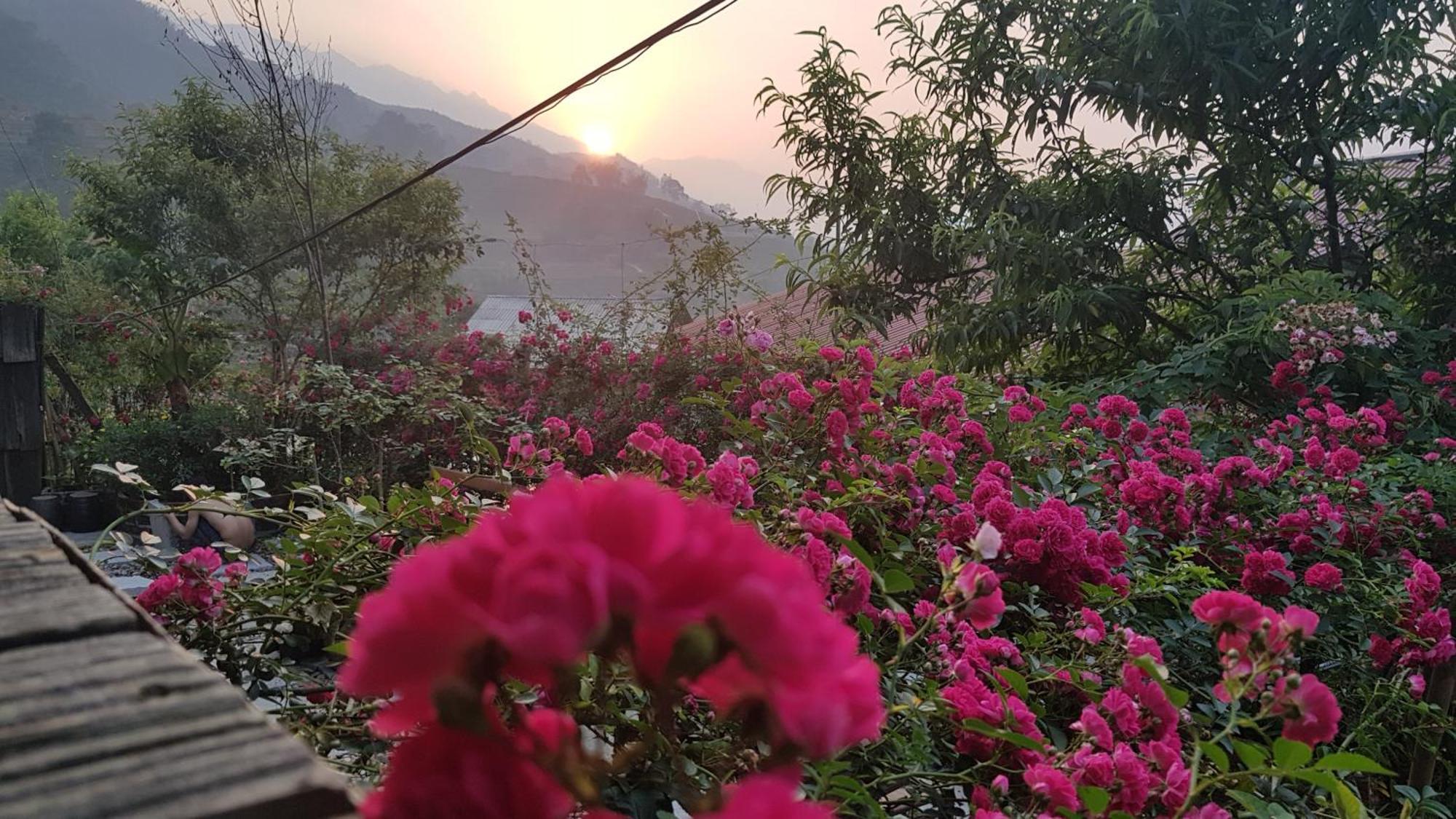 Tavan View Homestay