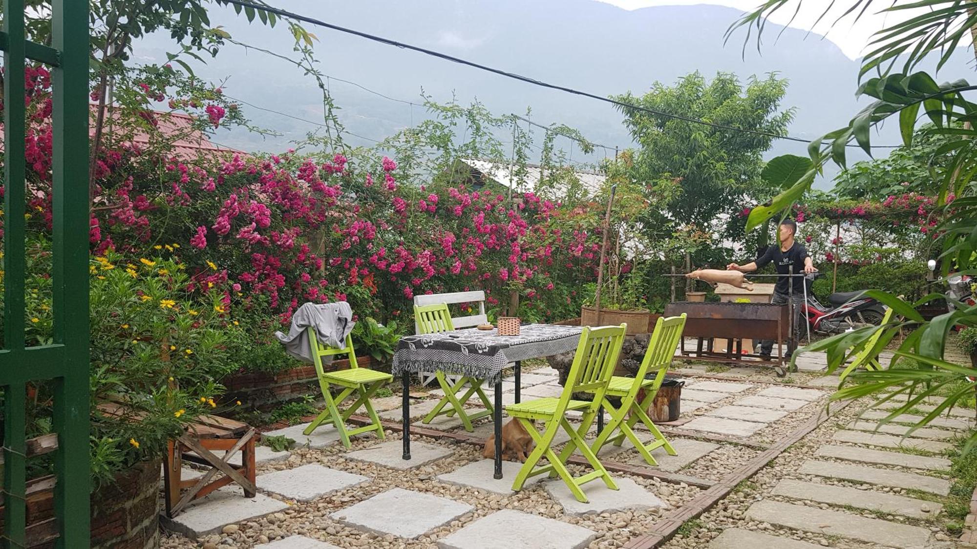 Tavan View