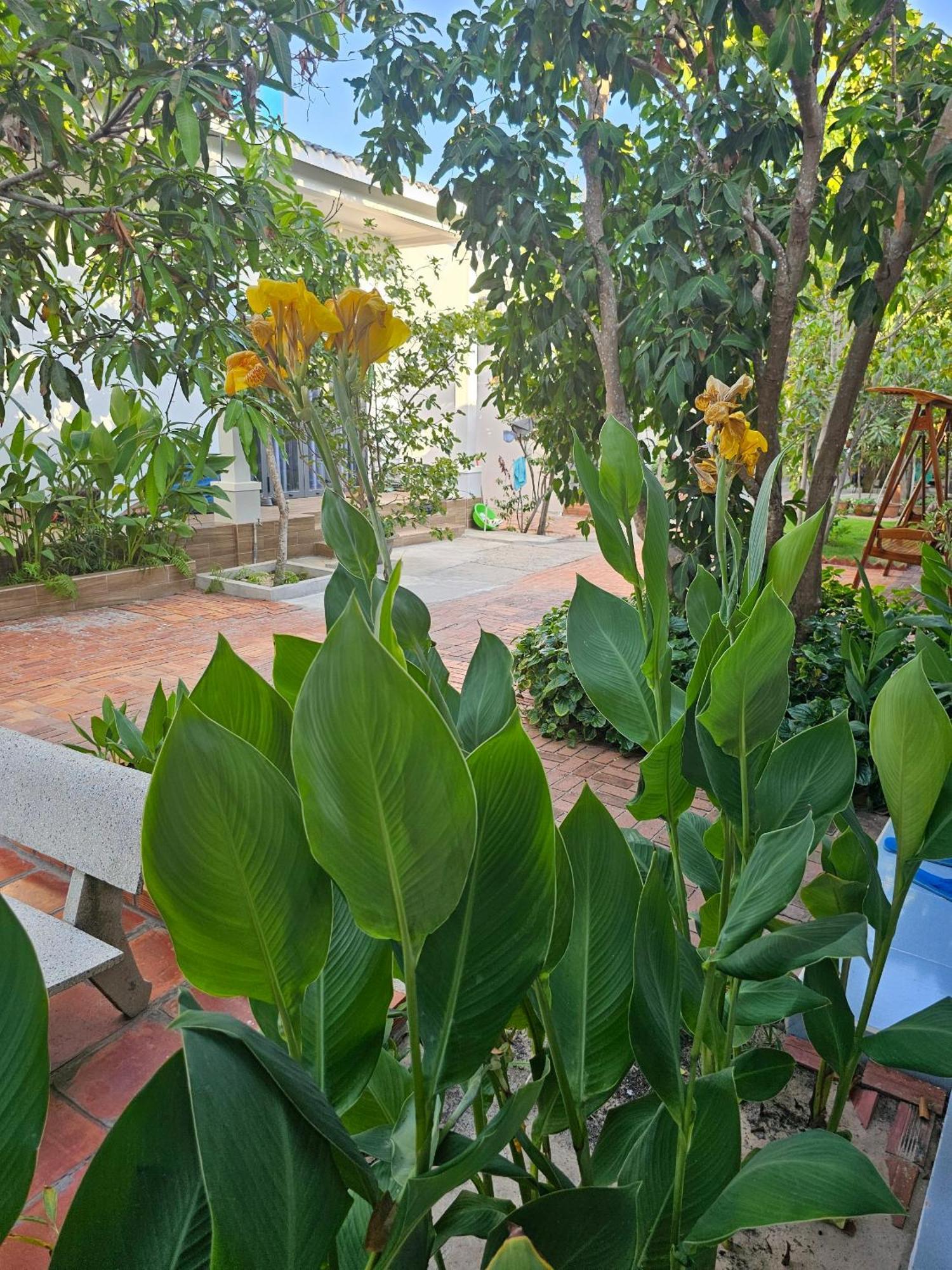 Cay Phuong Guest house *