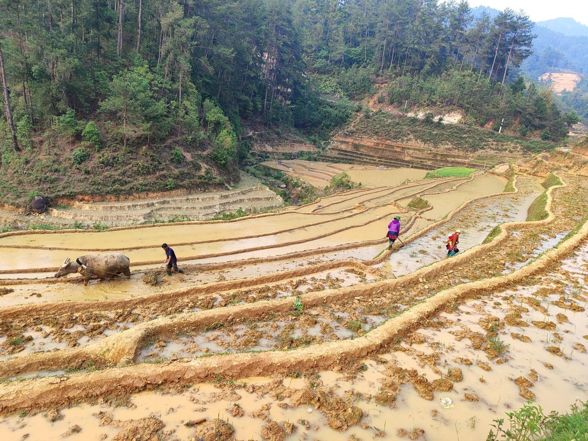 Lodge & Trekking Mu Cang Chai