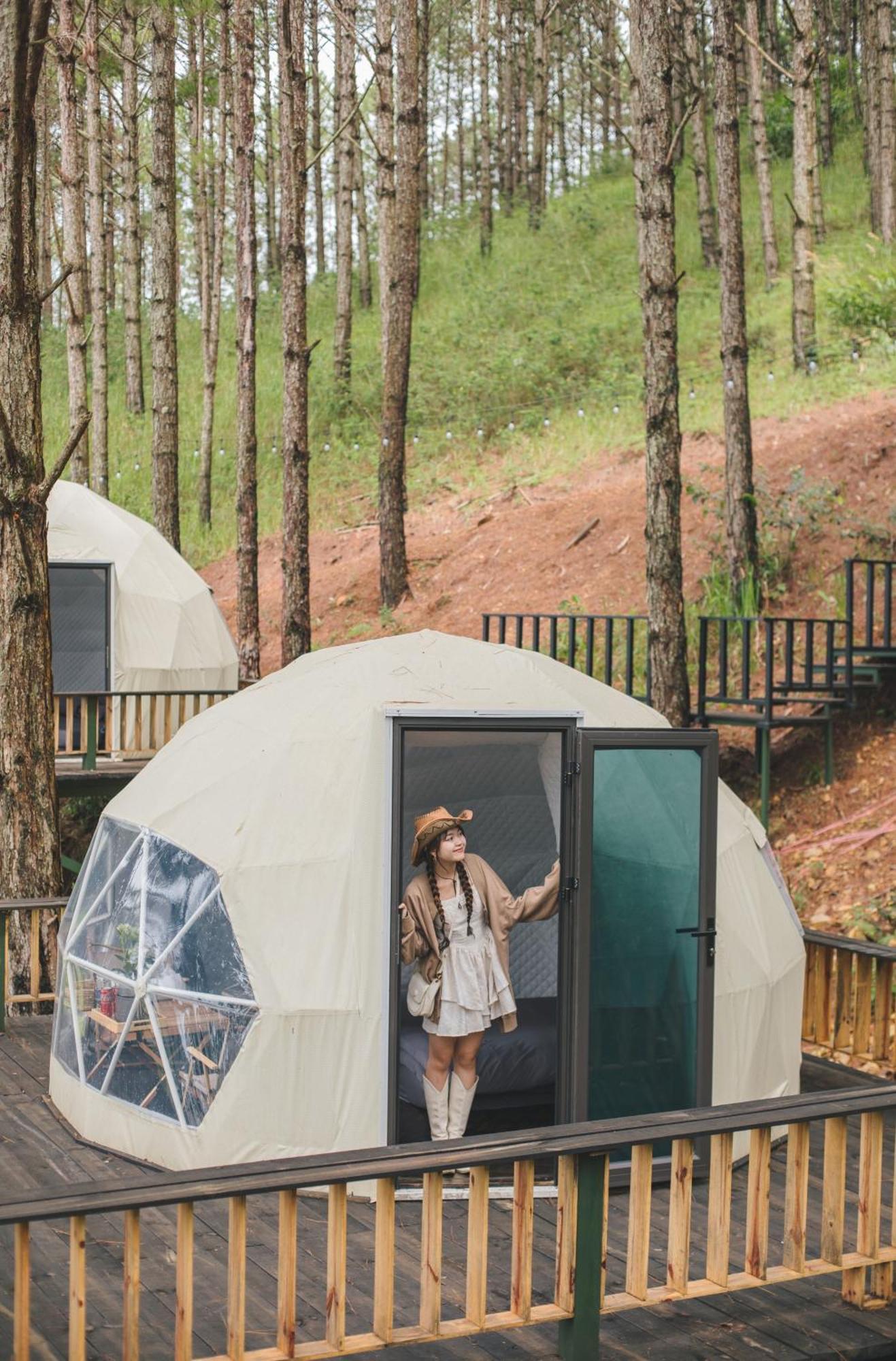 Resort Lavender And