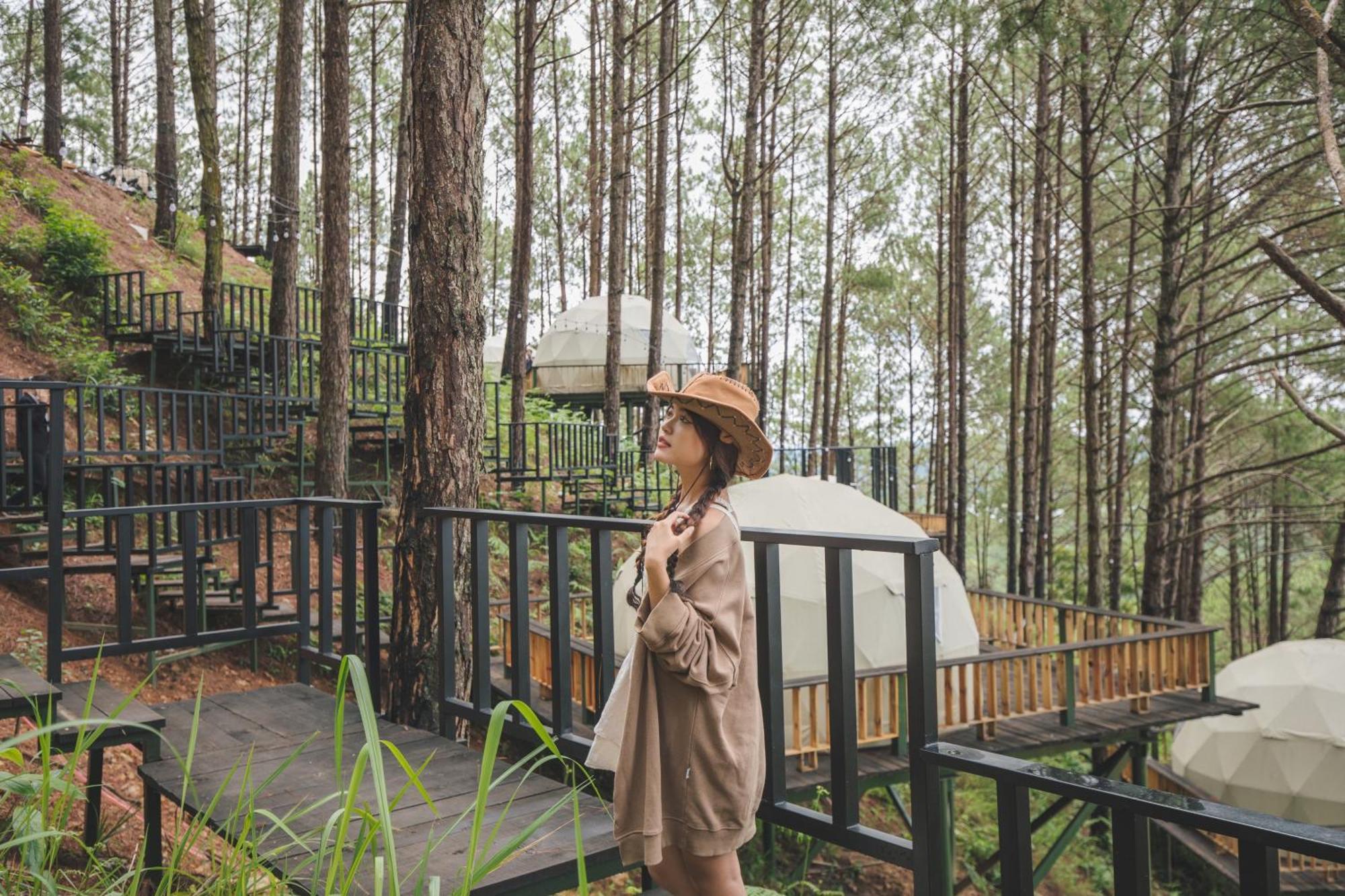 Lavender And Resort 4*