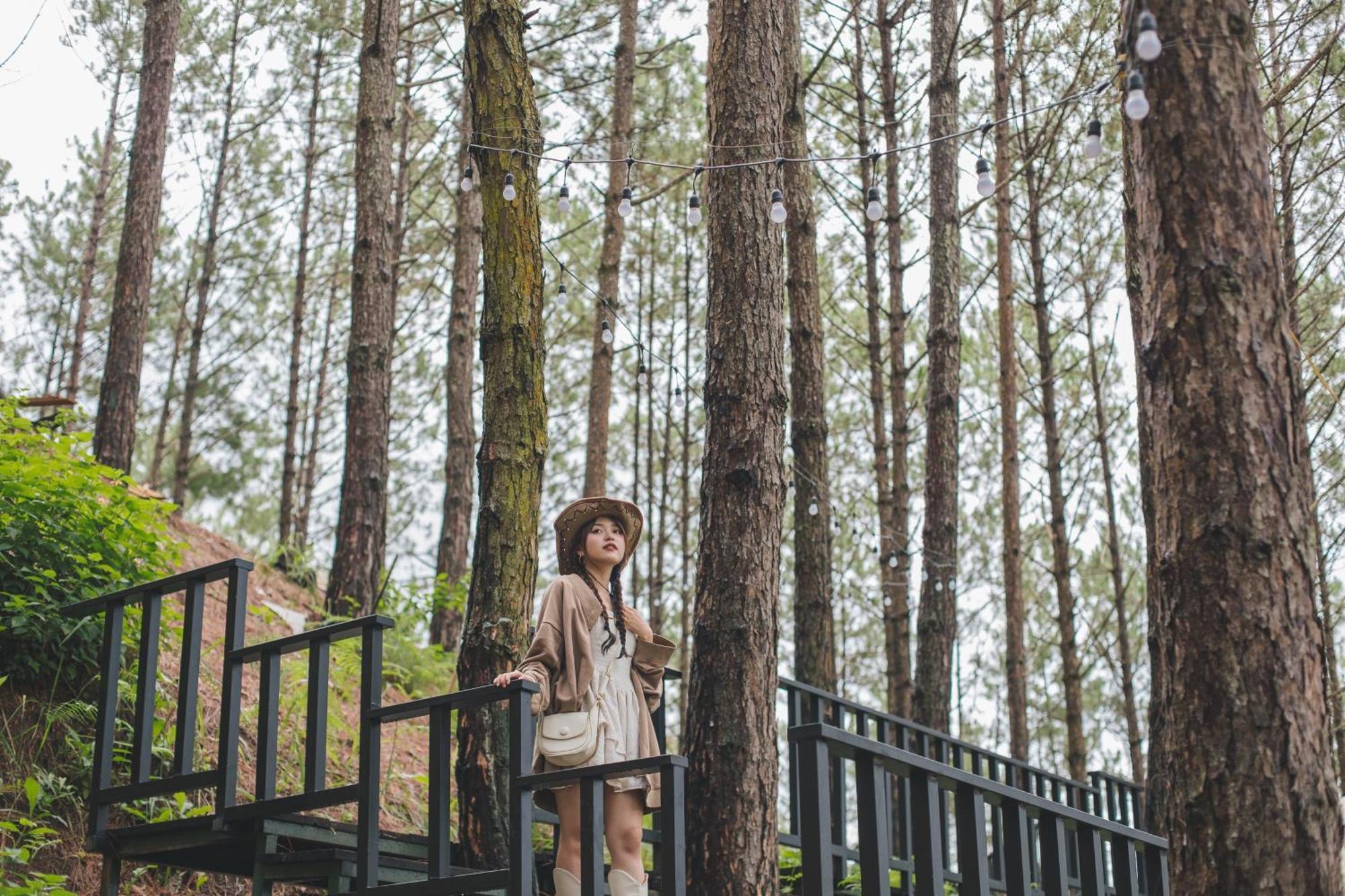 Lavender And 4* Da Lat