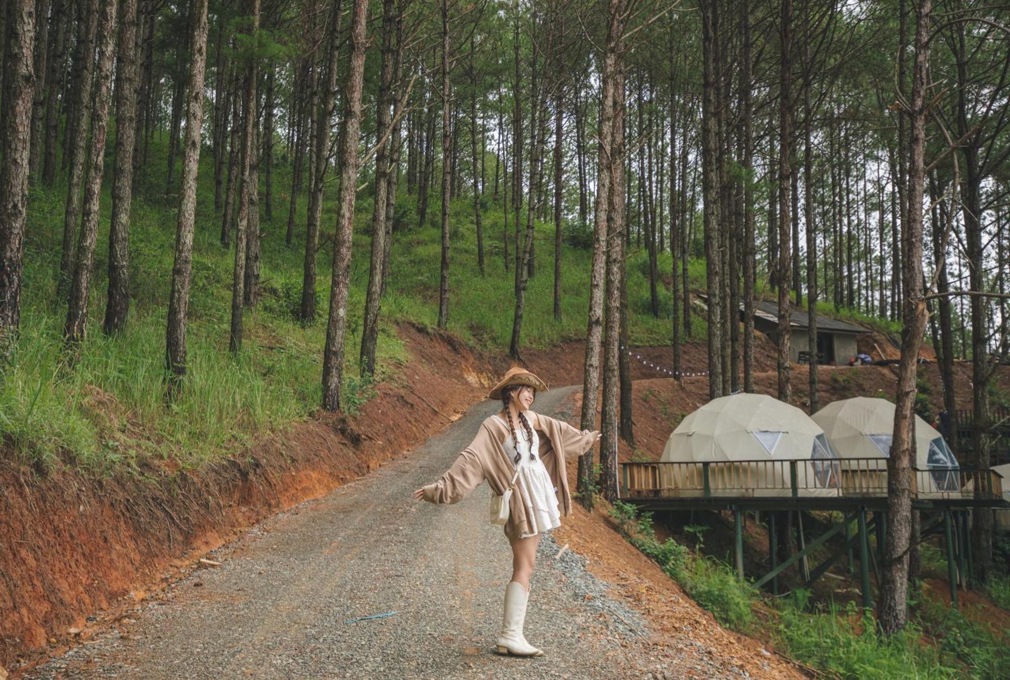Lavender And Resort Da Lat