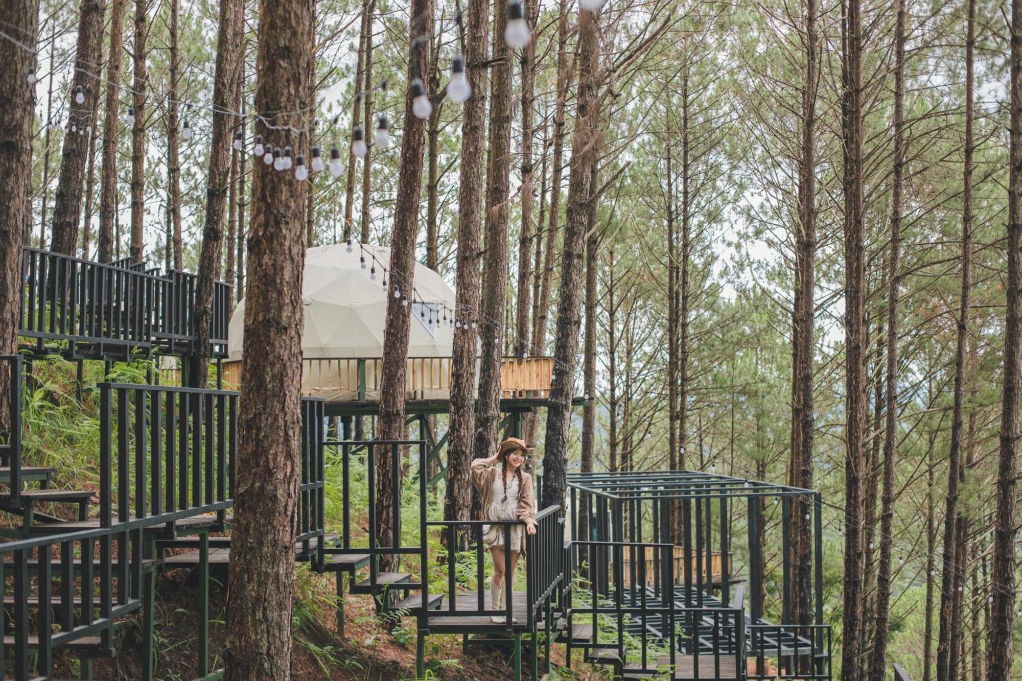 Lavender And Resort 4*