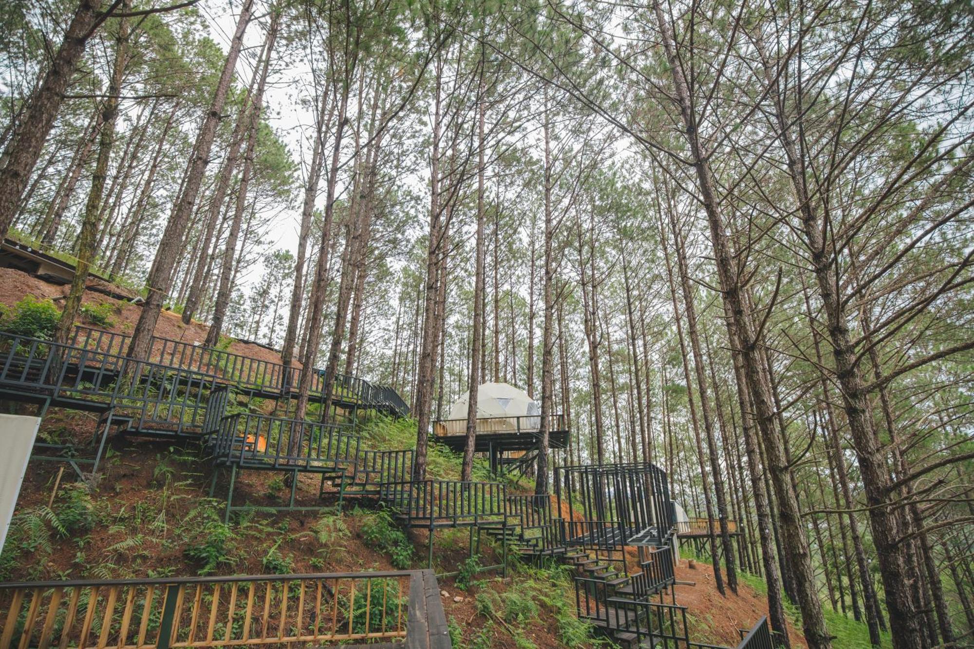 Resort Lavender And Da Lat