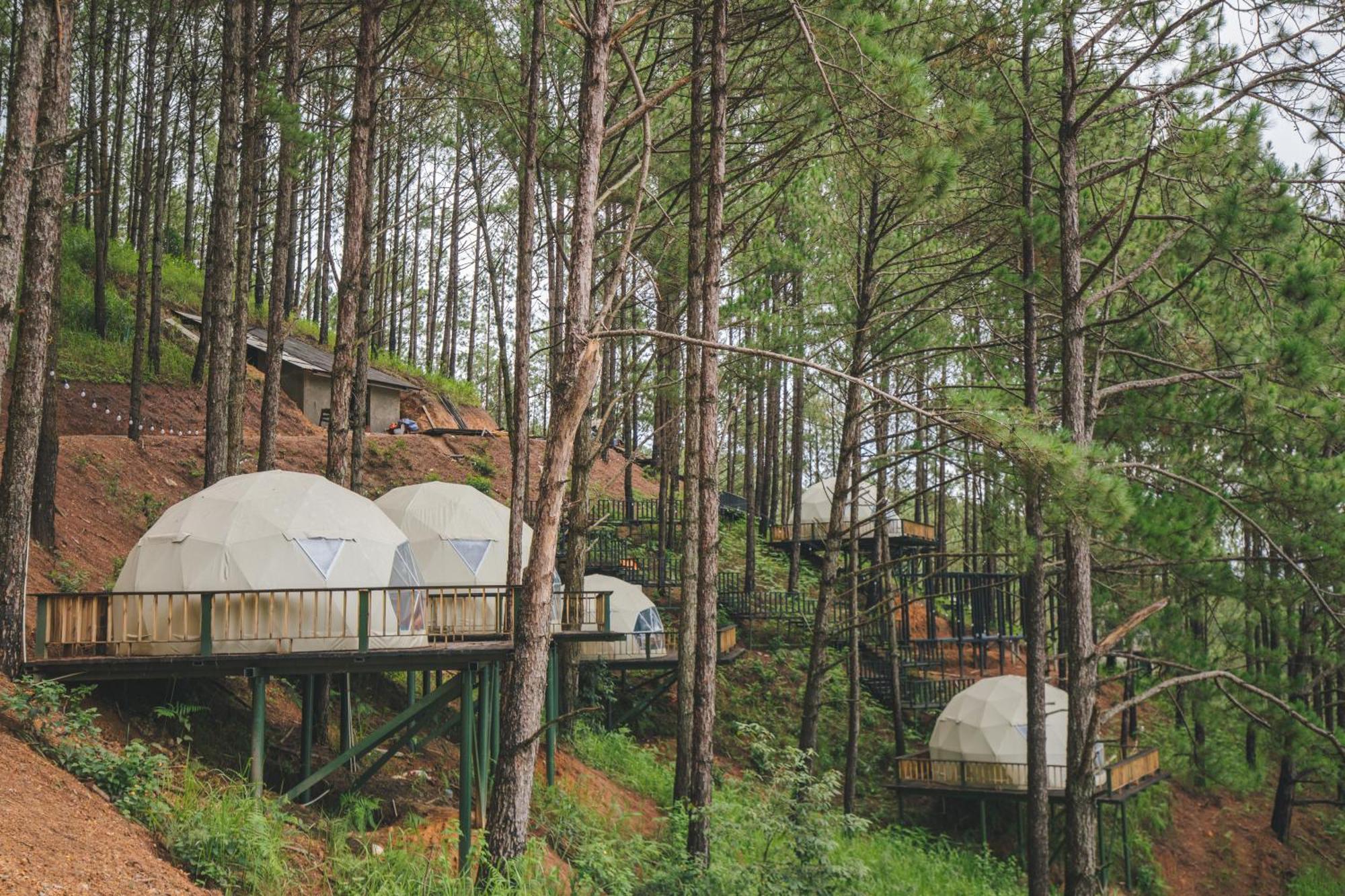 Lavender And Resort Da Lat