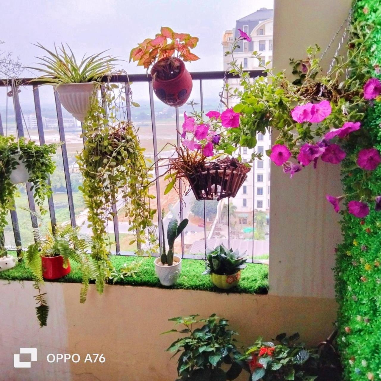 Happiest 1 - Manor Crown Apartment Hue