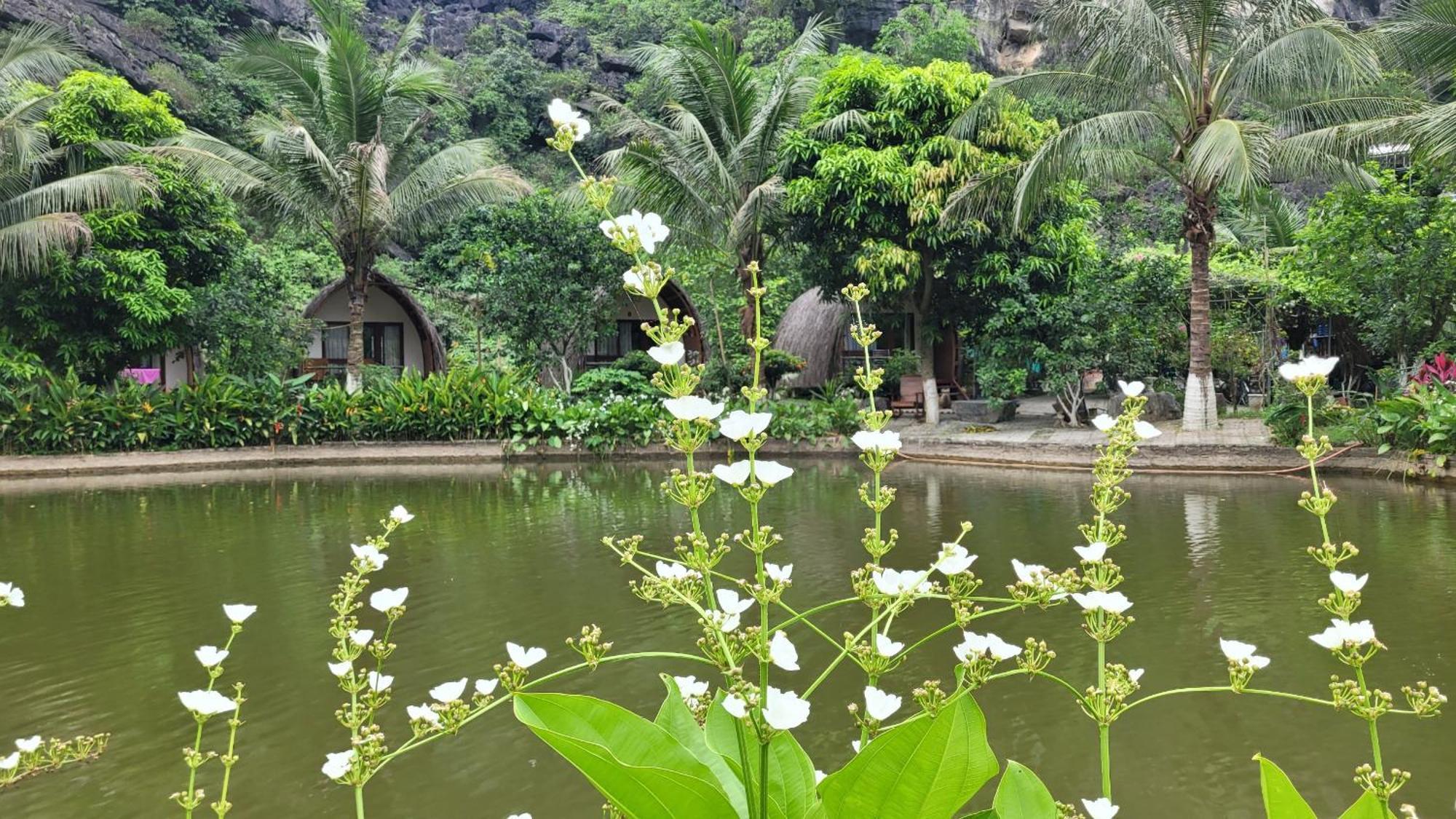 Resort Fairy Mountain Retreat *