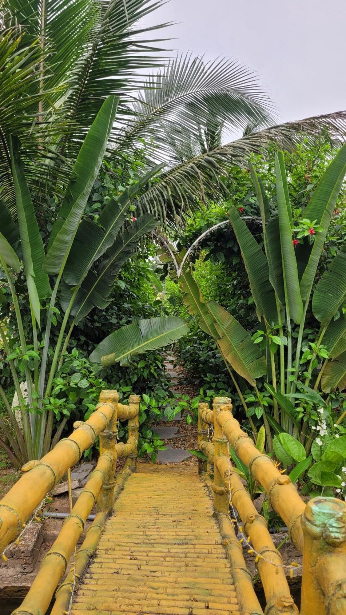 Resort Fairy Mountain Retreat
