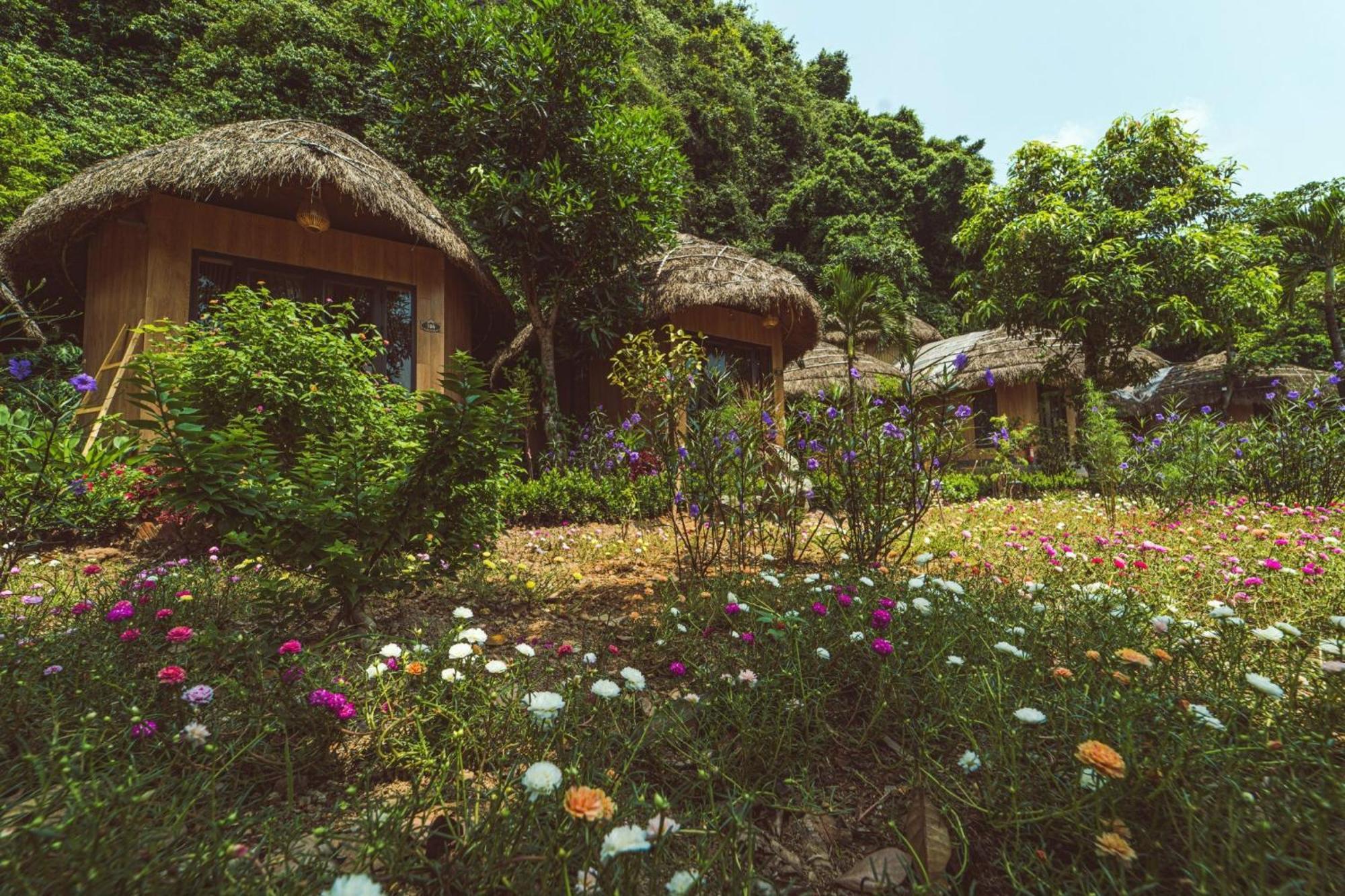 Trang An Legend Lodge *