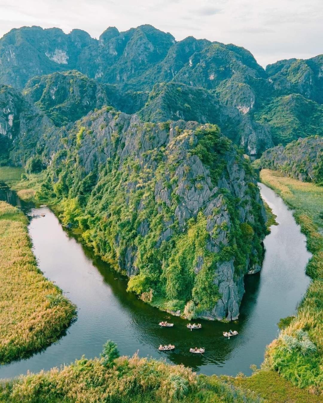 Tam Coc Rice Fields Homestay *