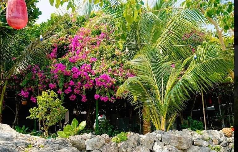 Hotel Hoa Bien Ly Son
