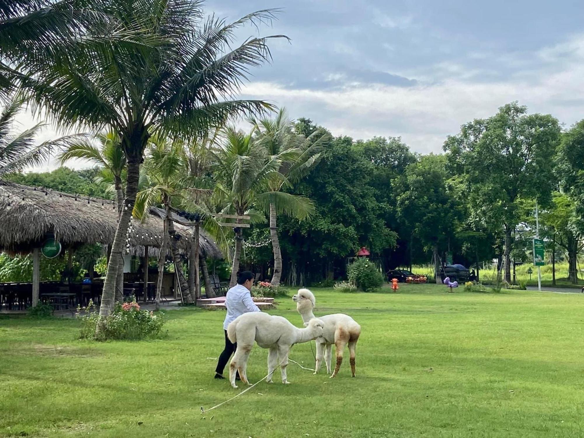 Ecopark Happy Haven Căn hộ *