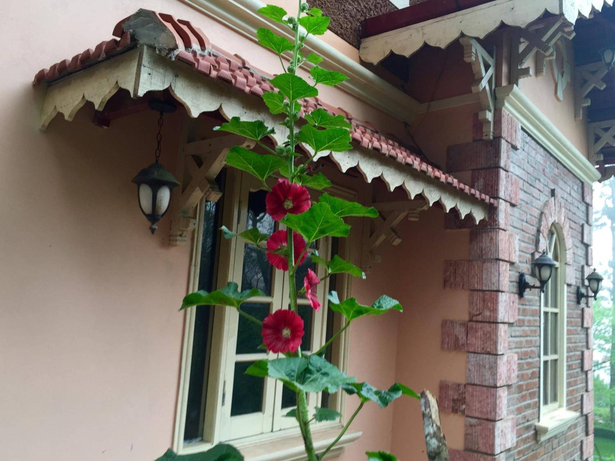 Garden Bed & Breakfast Sa Pa