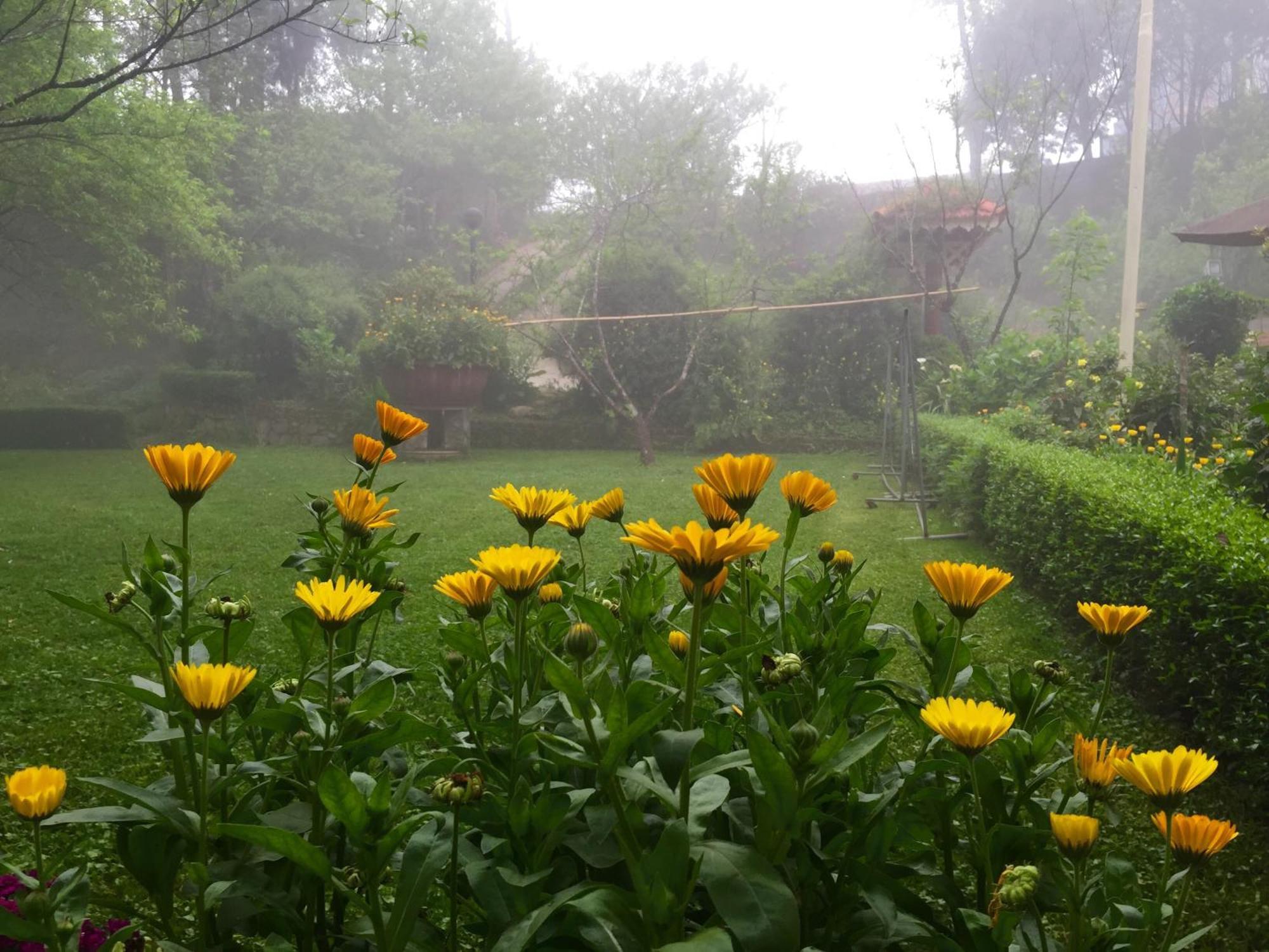 Bed & Breakfast Garden 2*