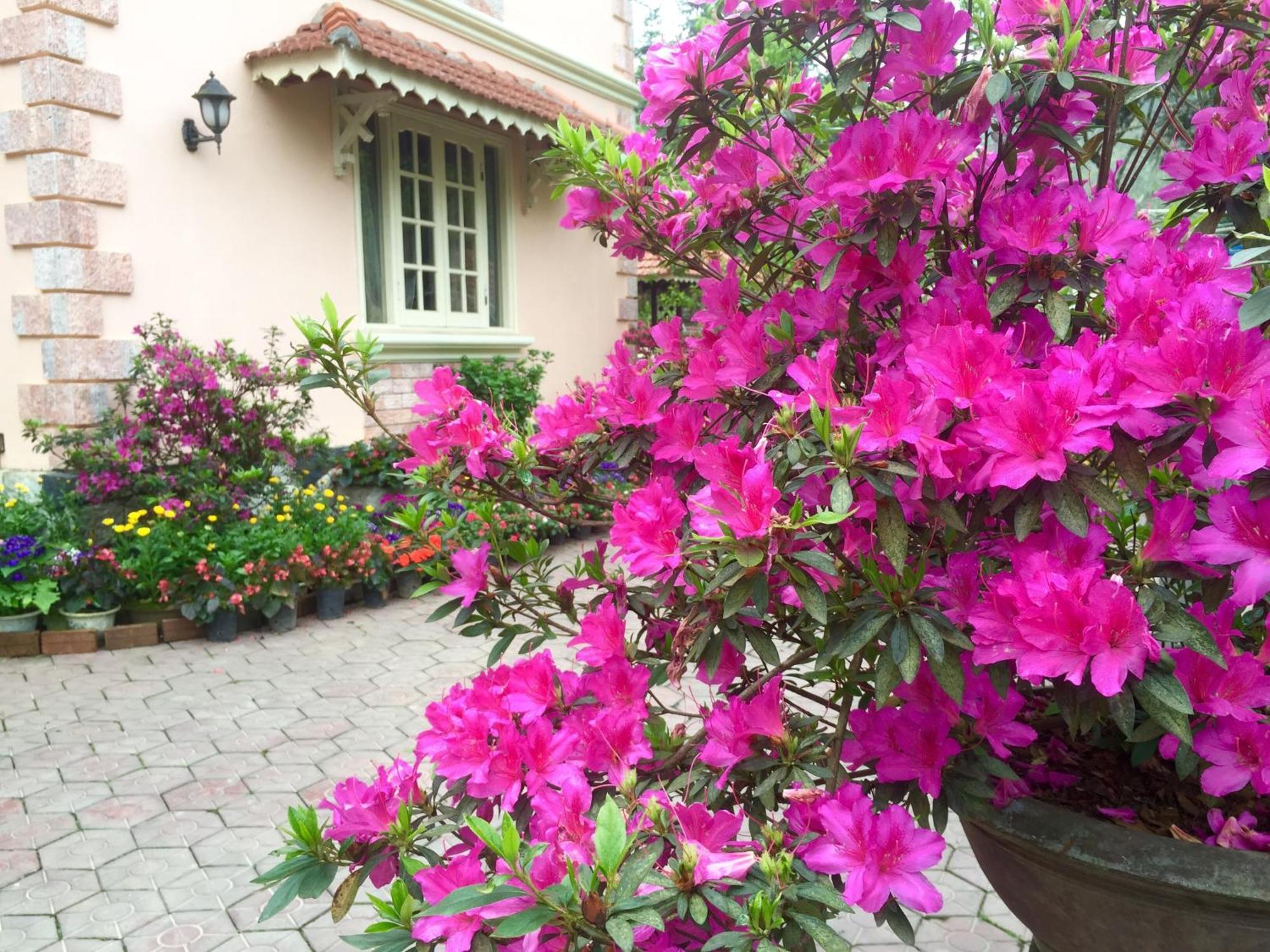 Bed & Breakfast Garden