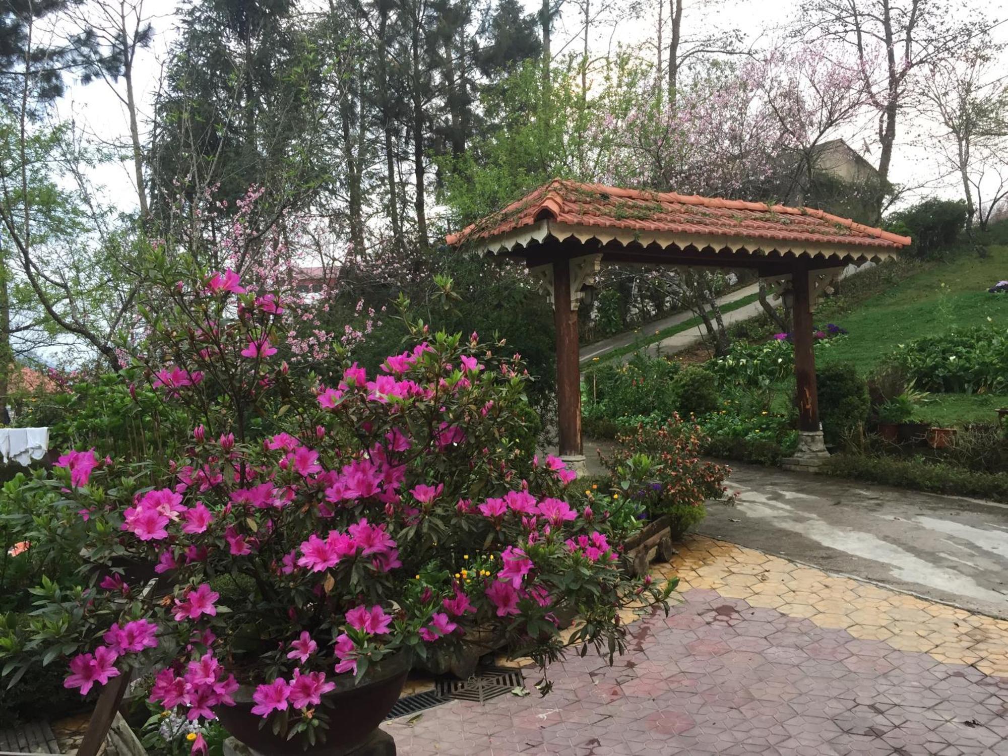 Garden Bed & Breakfast Sa Pa