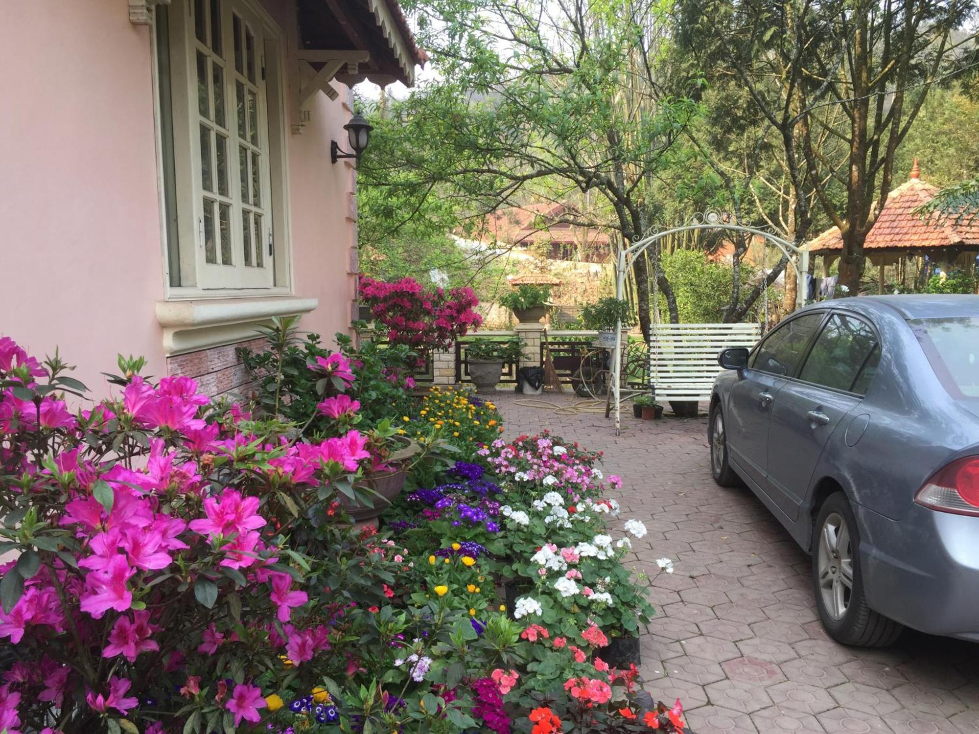 Bed & Breakfast Garden