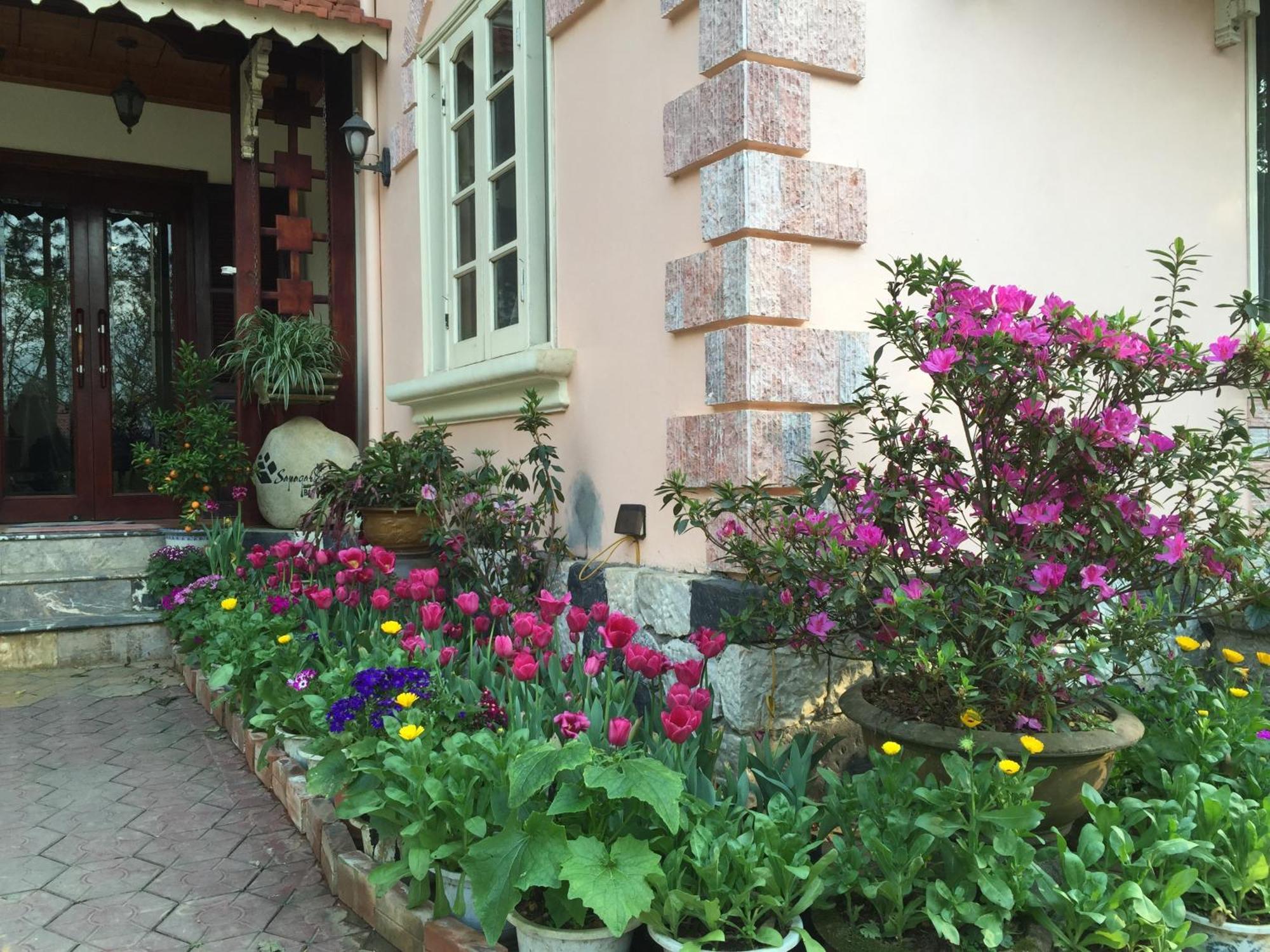 Bed & Breakfast Garden