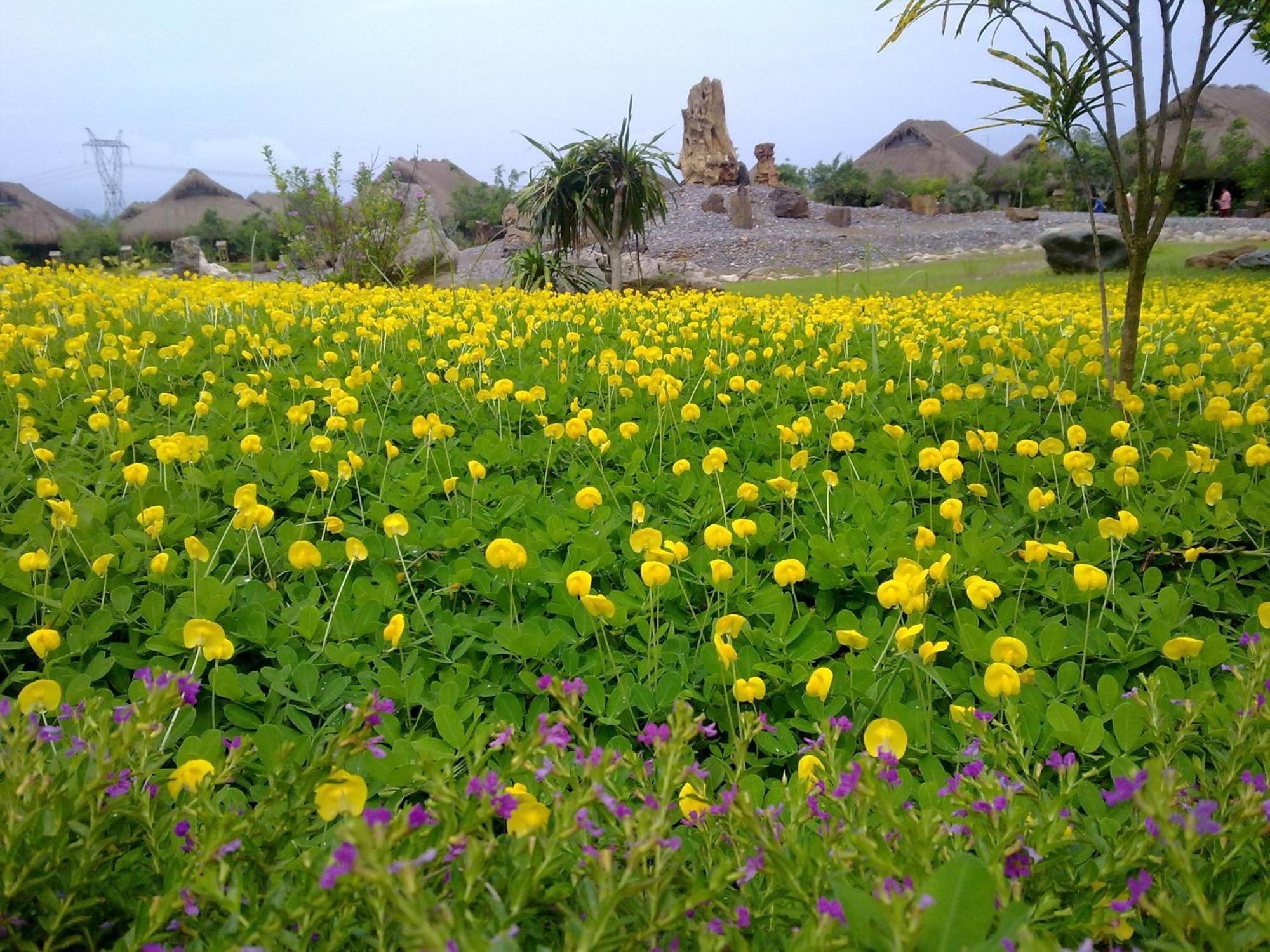 Cuc Phuong Mineral Retreat Resort 4*