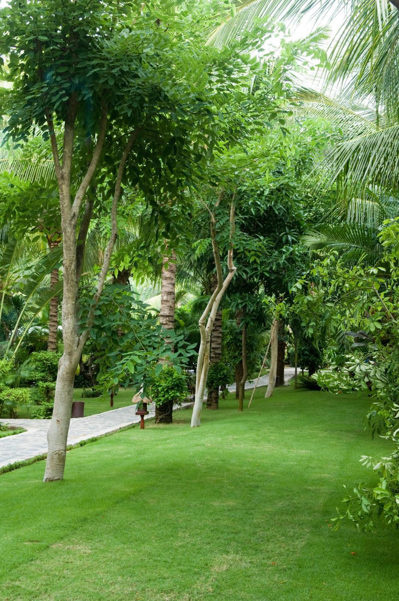 Cham Mui Ne
