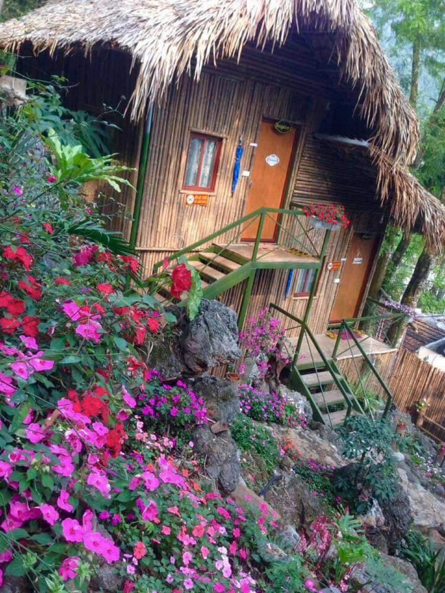 Hostel Hill & Tour *