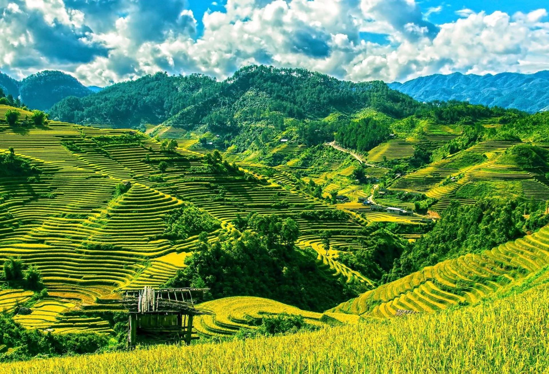 Lodge Hello & Tours Mu Cang Chai