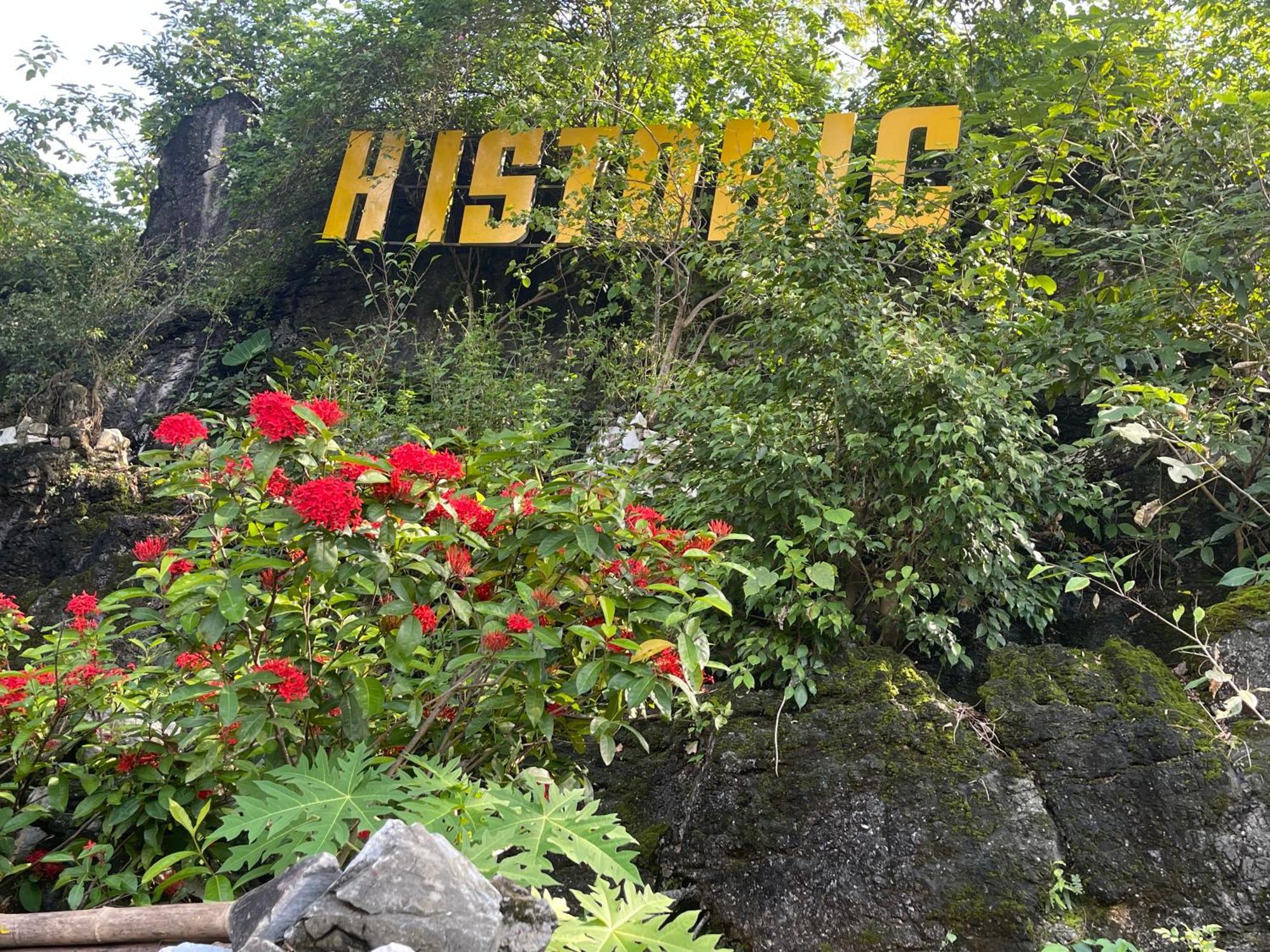 Historic & Tours 4*