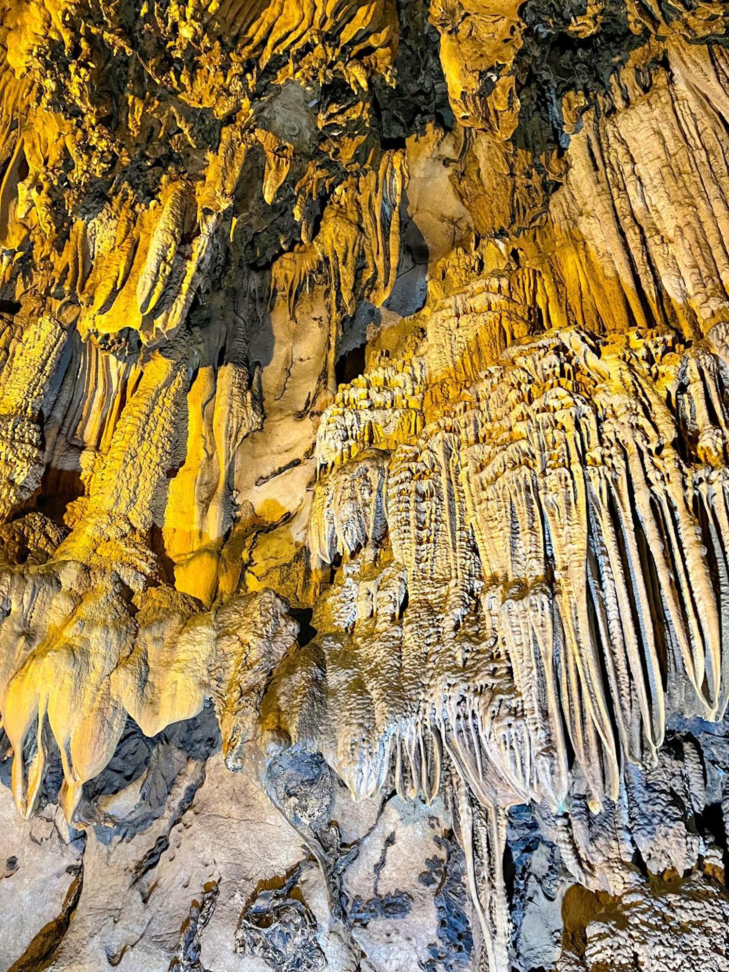 Indochine Cruise  Hạ Long