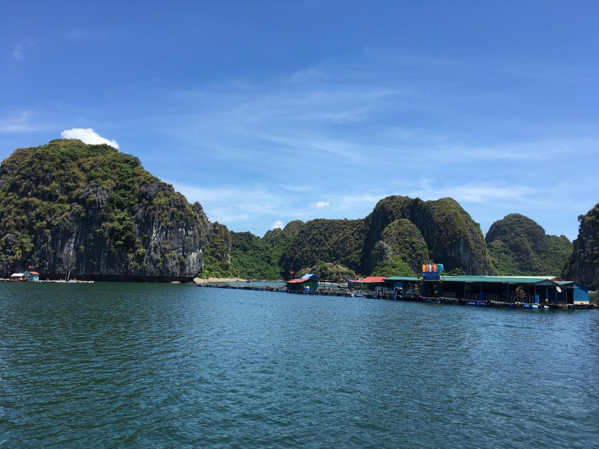 Cat Ba Bay Cruises