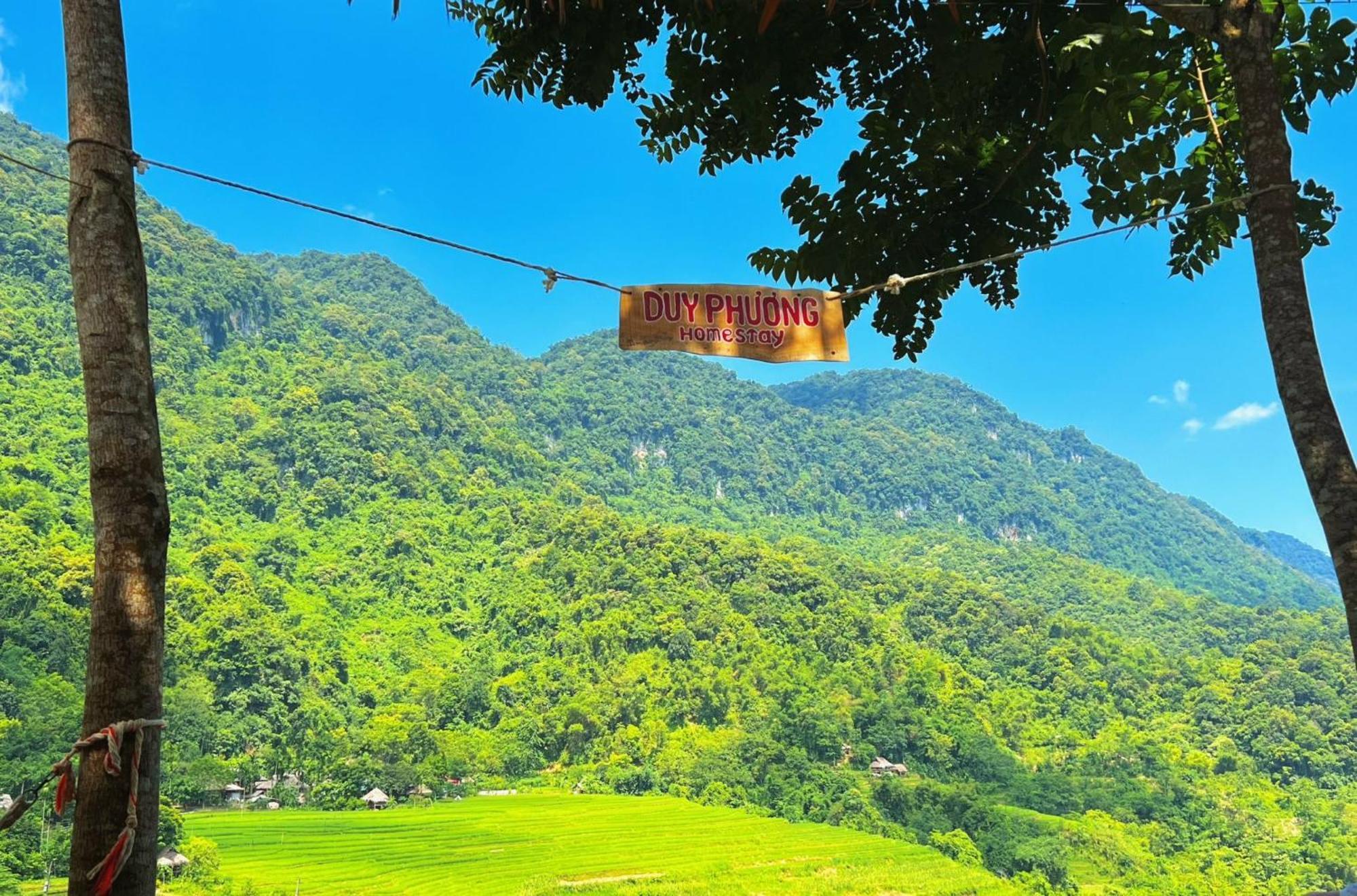 Pu Luong - Duy Phuong *