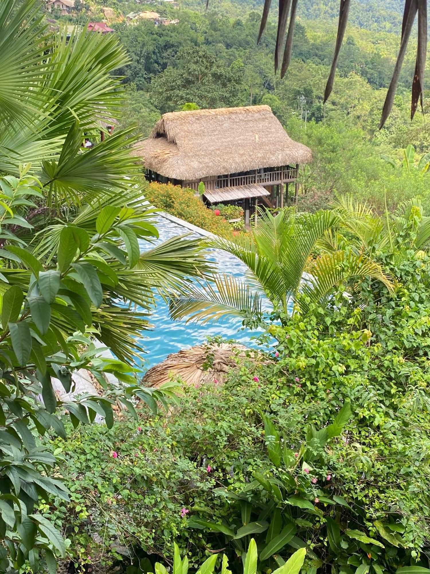 Eco Garden