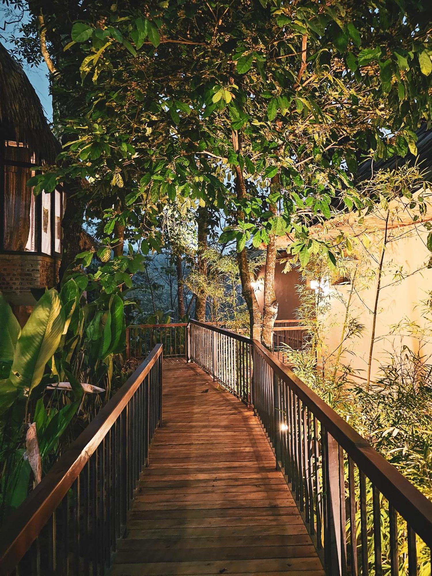 Eco Garden 3*