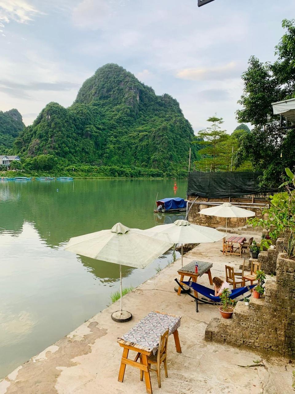 Funny Monkeys * Phong Nha
