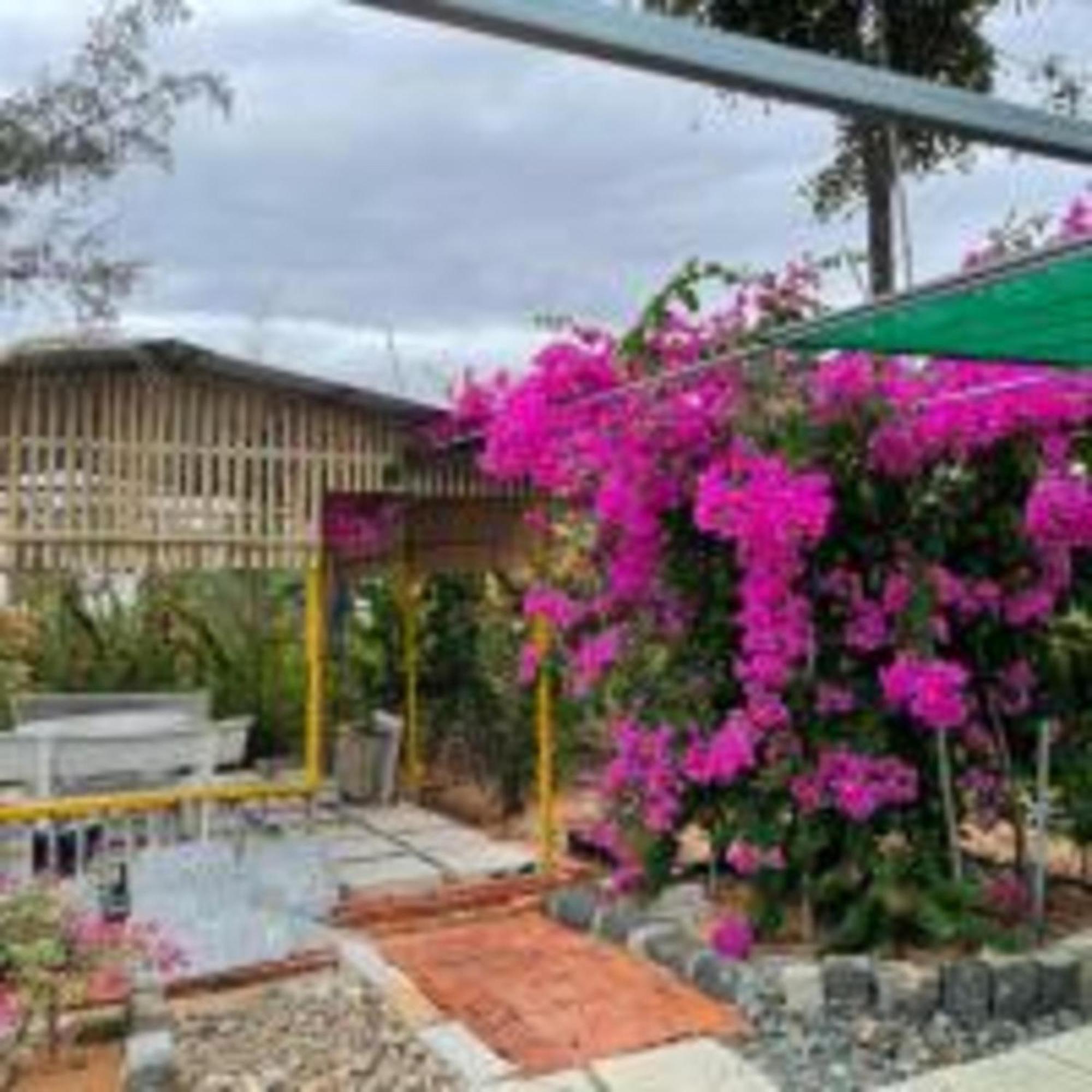 Duc Luu Quang Binh Thuan 2*