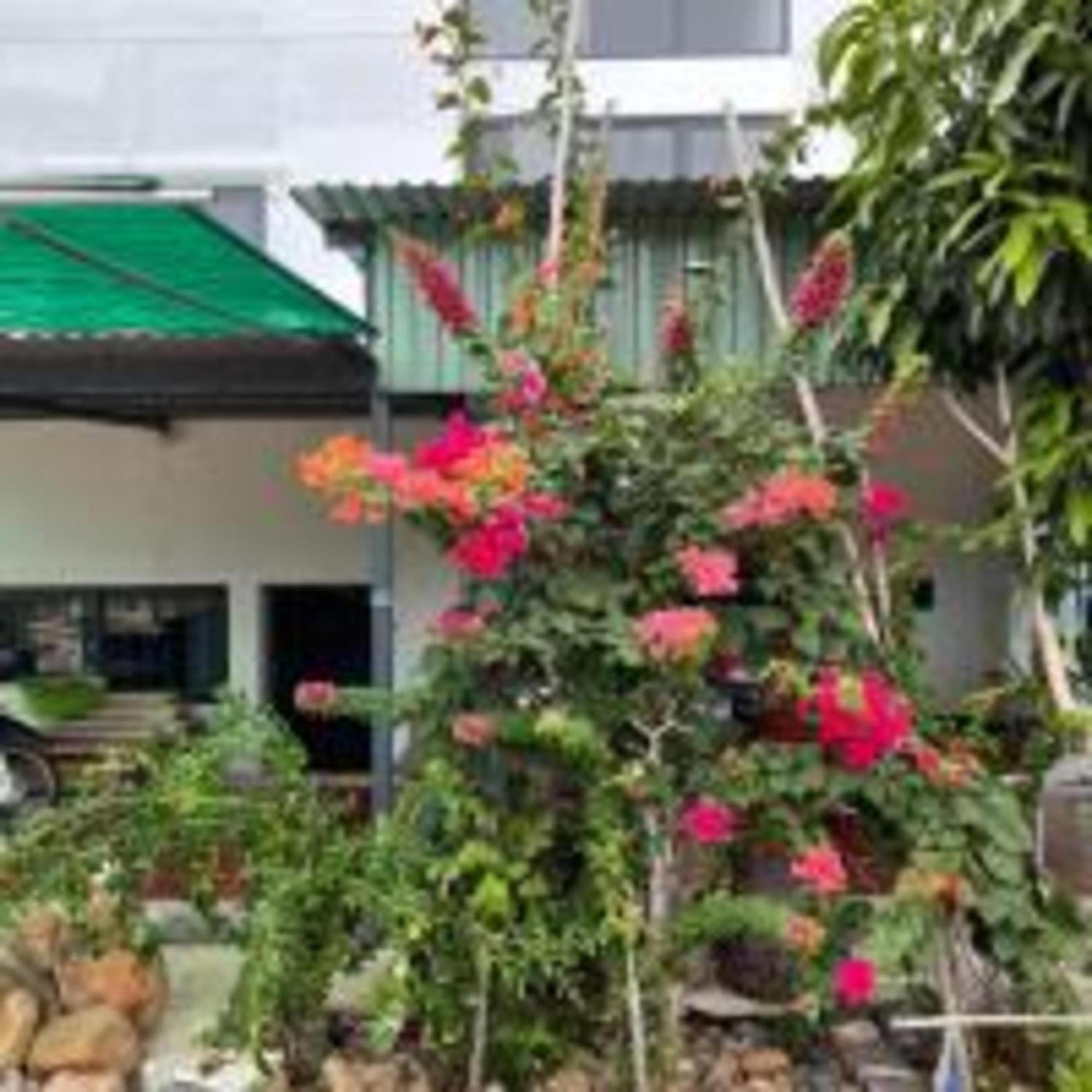Duc Luu Quang Binh Thuan 2*