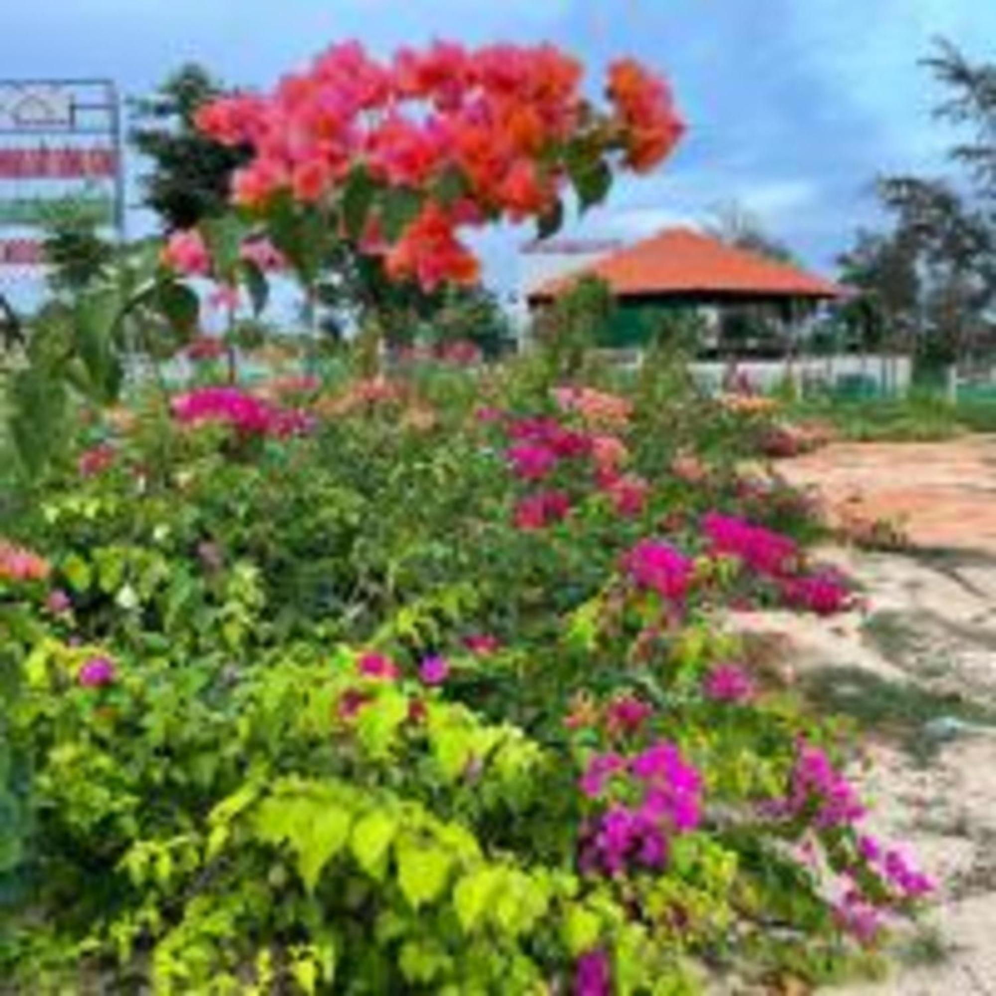 Duc Luu Quang Binh Thuan Hotel Tuy Phong