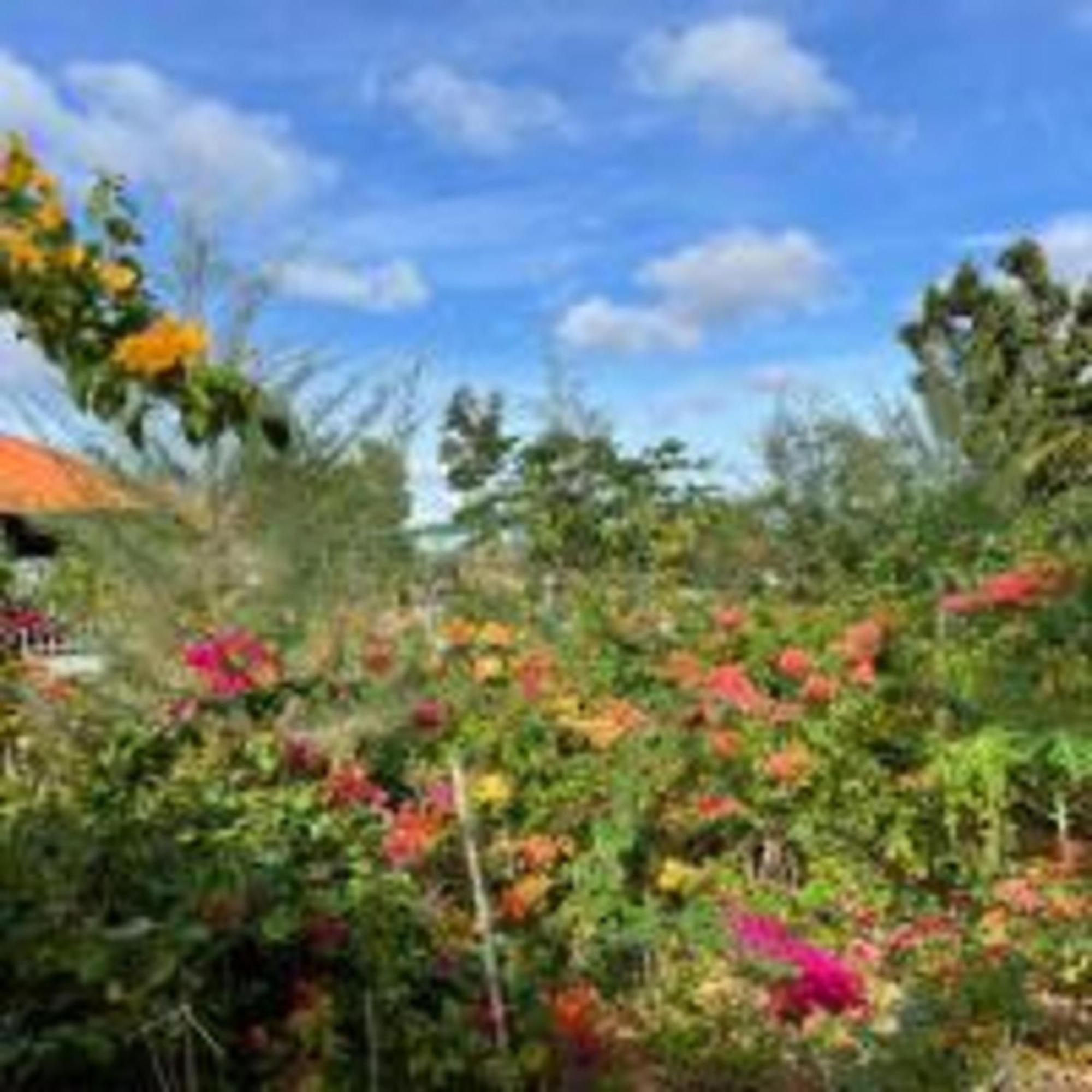 Duc Luu Quang Binh Thuan Hotel