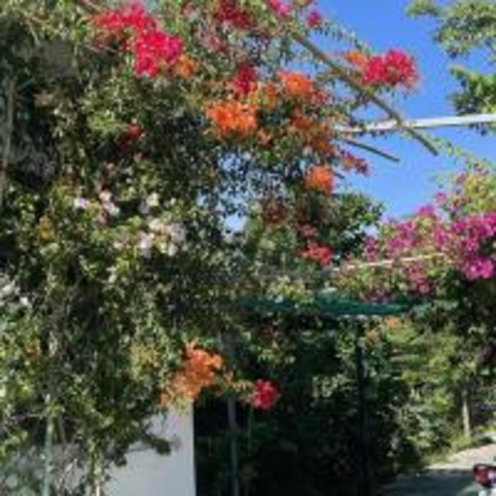 Hotel Duc Luu Quang Binh Thuan 2*