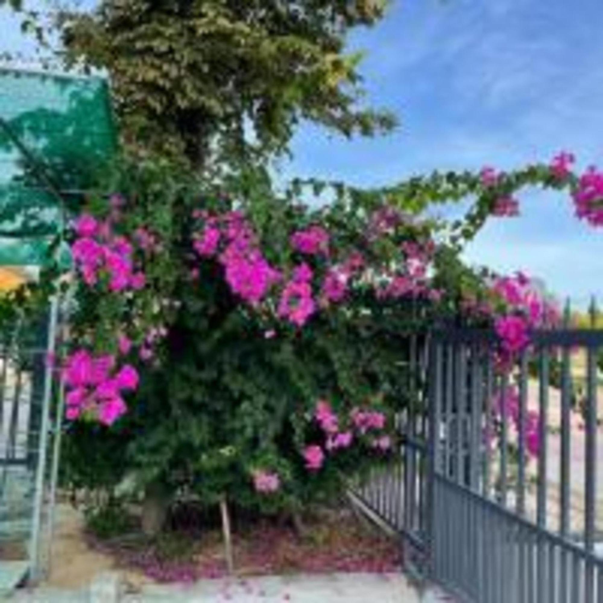 Hotel Duc Luu Quang Binh Thuan Tuy Phong