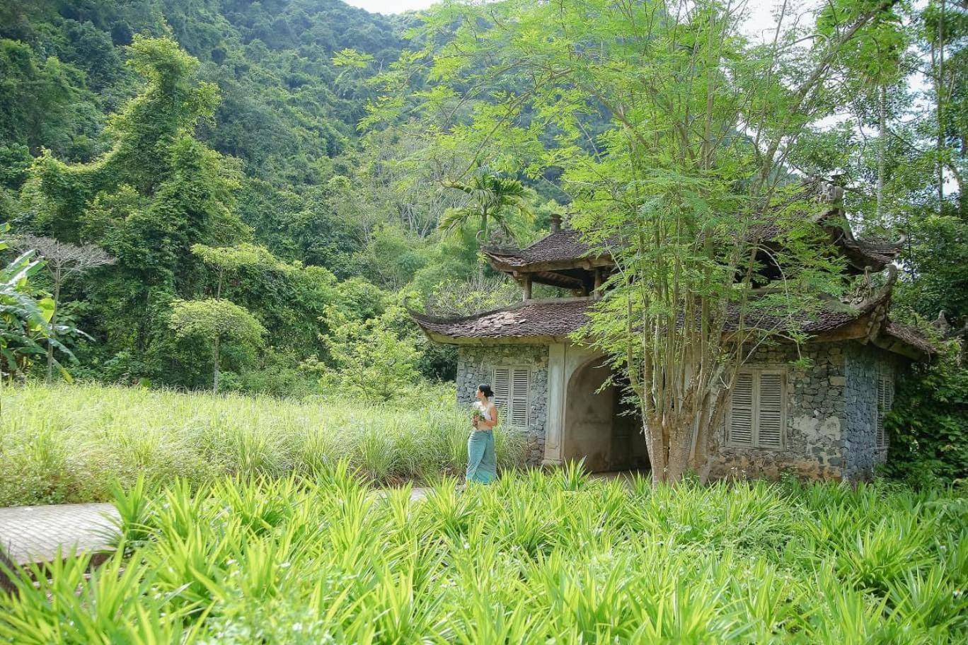 Maison Cat Ba Bay View