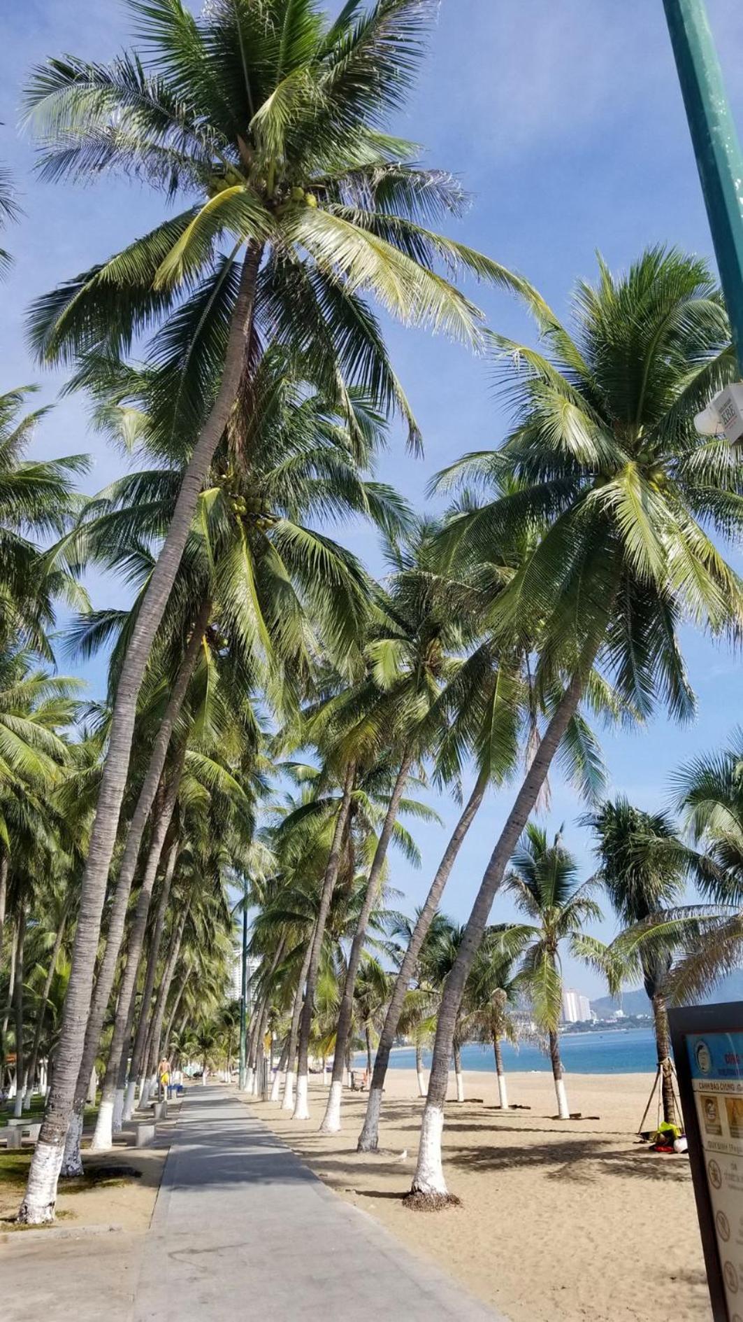 Ch Muong Thanh Luxury View Bien 60 Tran Phu