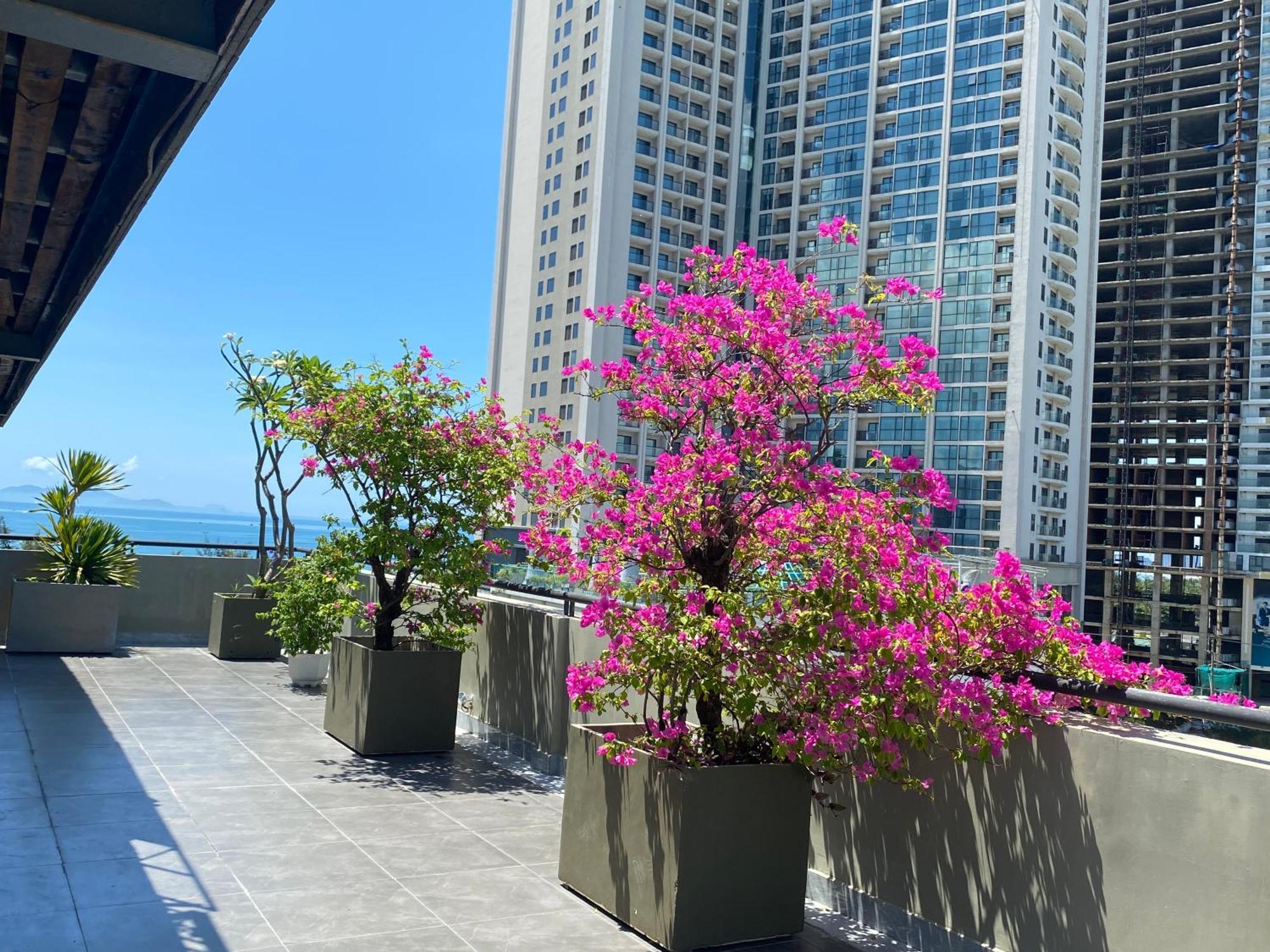 Hotel Haka Boutique Da Nang