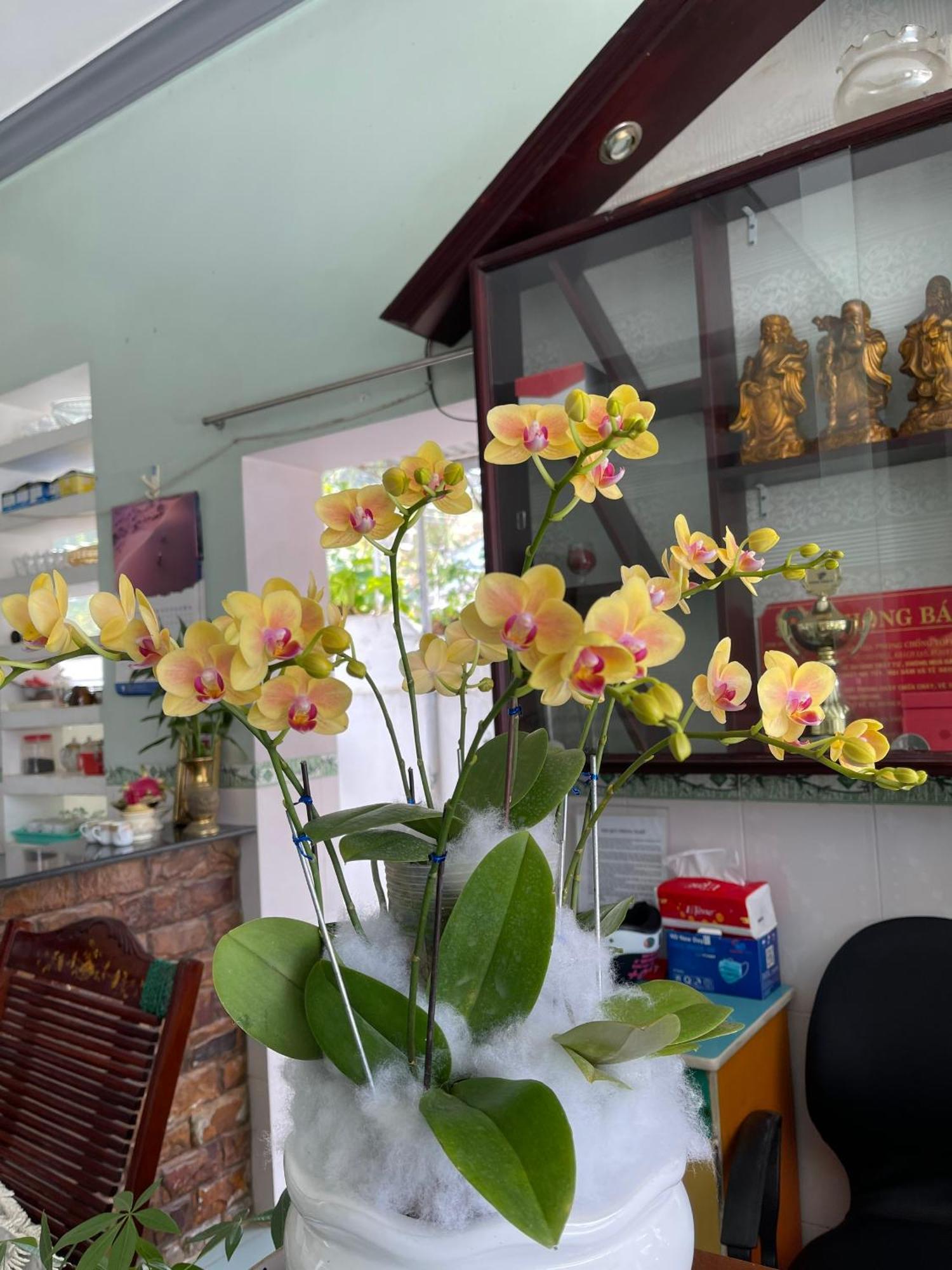 Guest house Son Tra Mui Ne